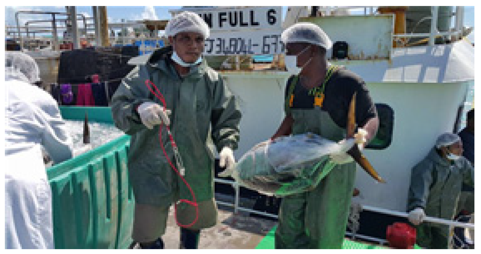 Geosciences 11 00407 g019