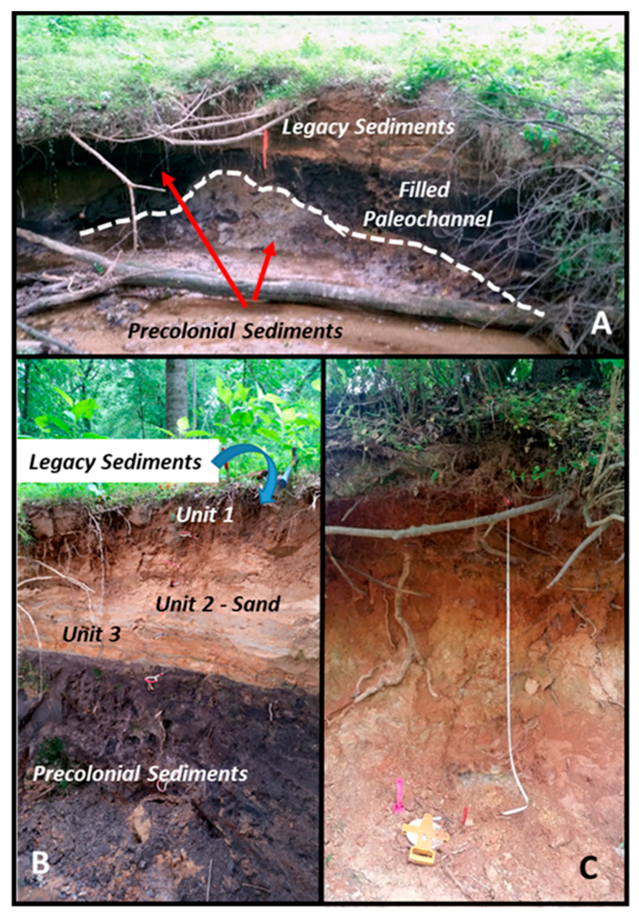 Geosciences 11 00423 g002