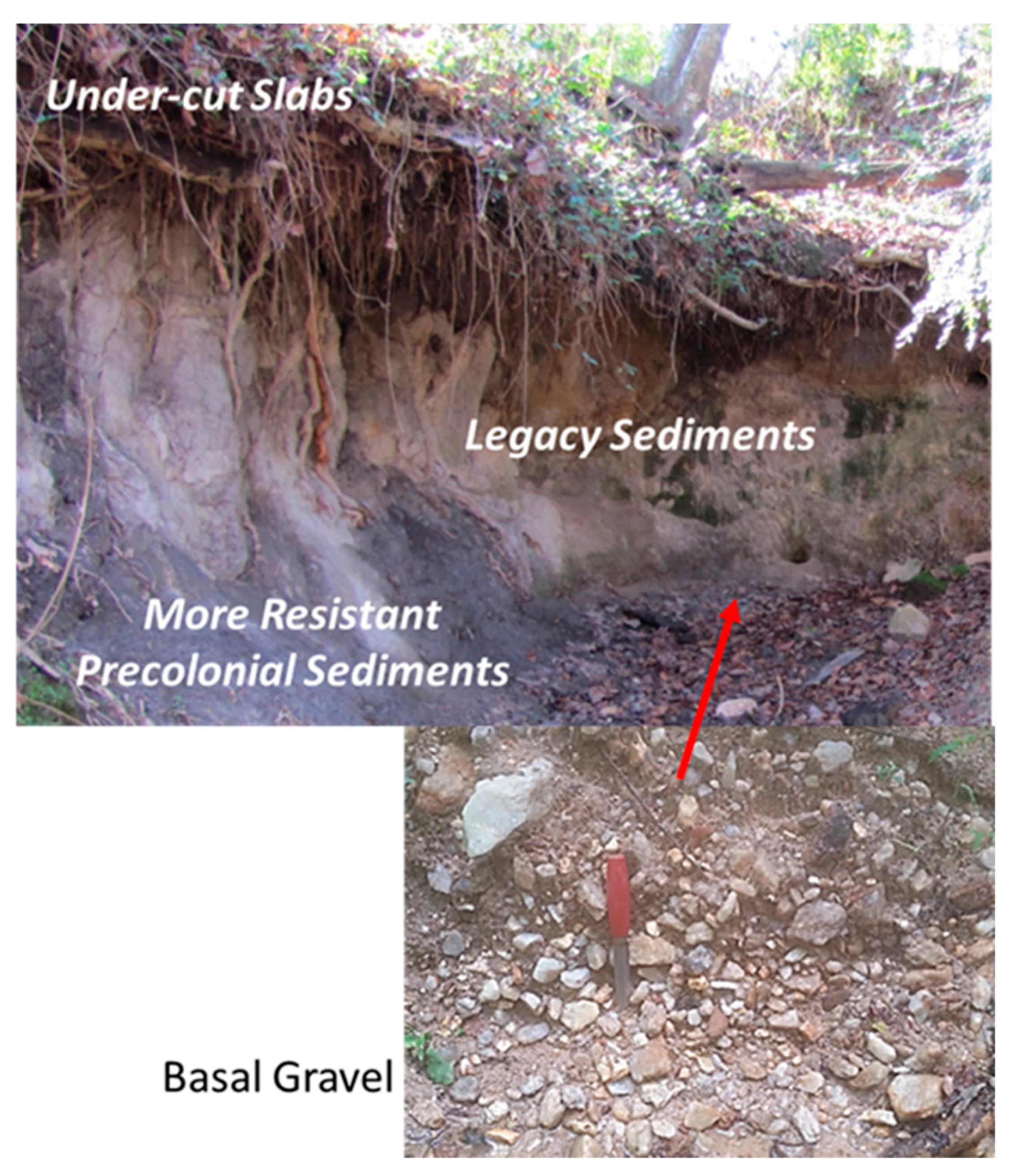 Geosciences 11 00423 g008