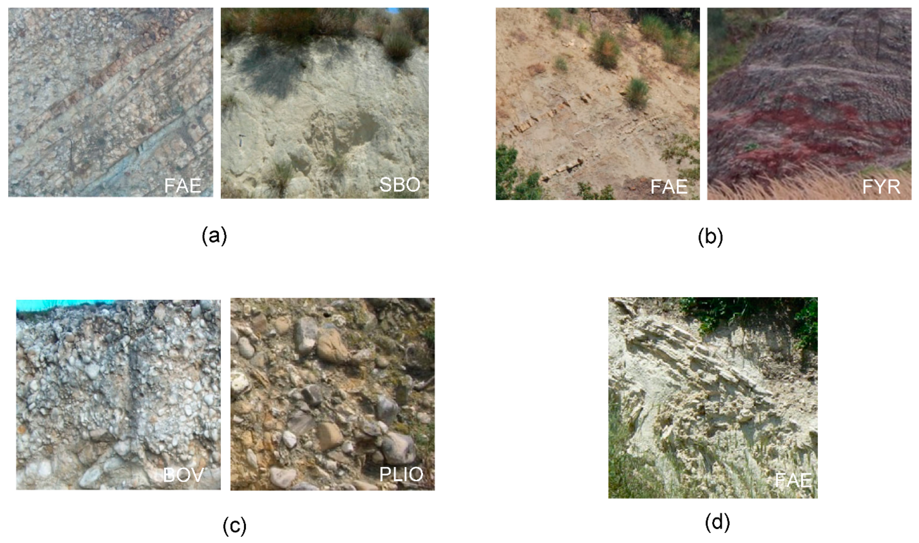 Geosciences 11 00429 g004