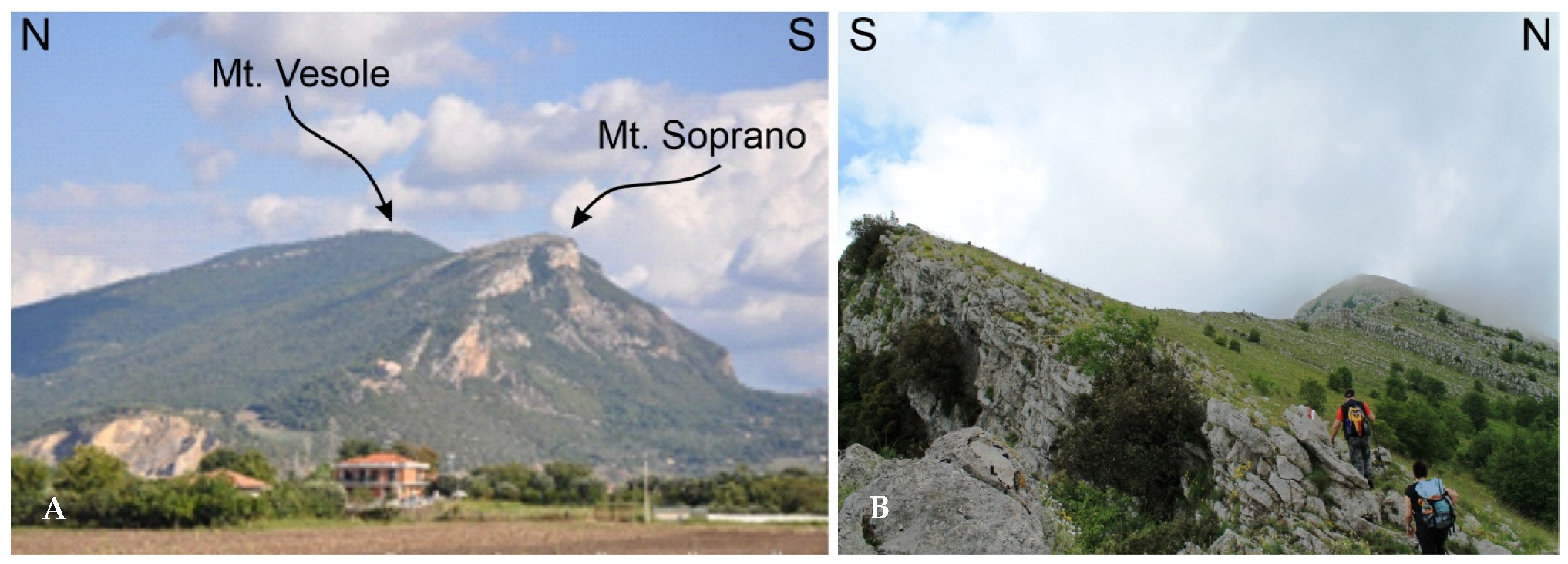 Geosciences 11 00466 g006