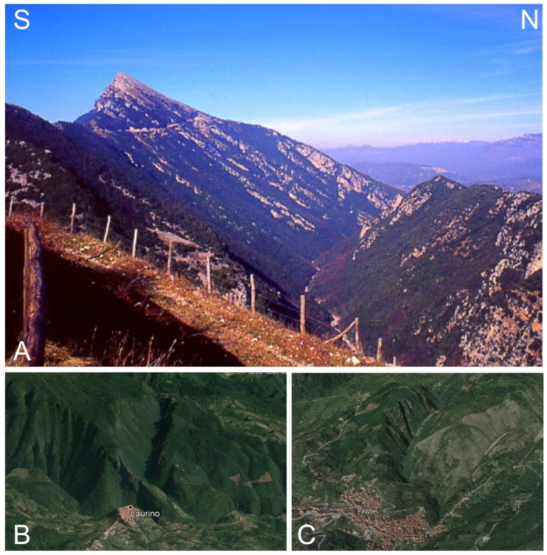 Geosciences 11 00466 g007