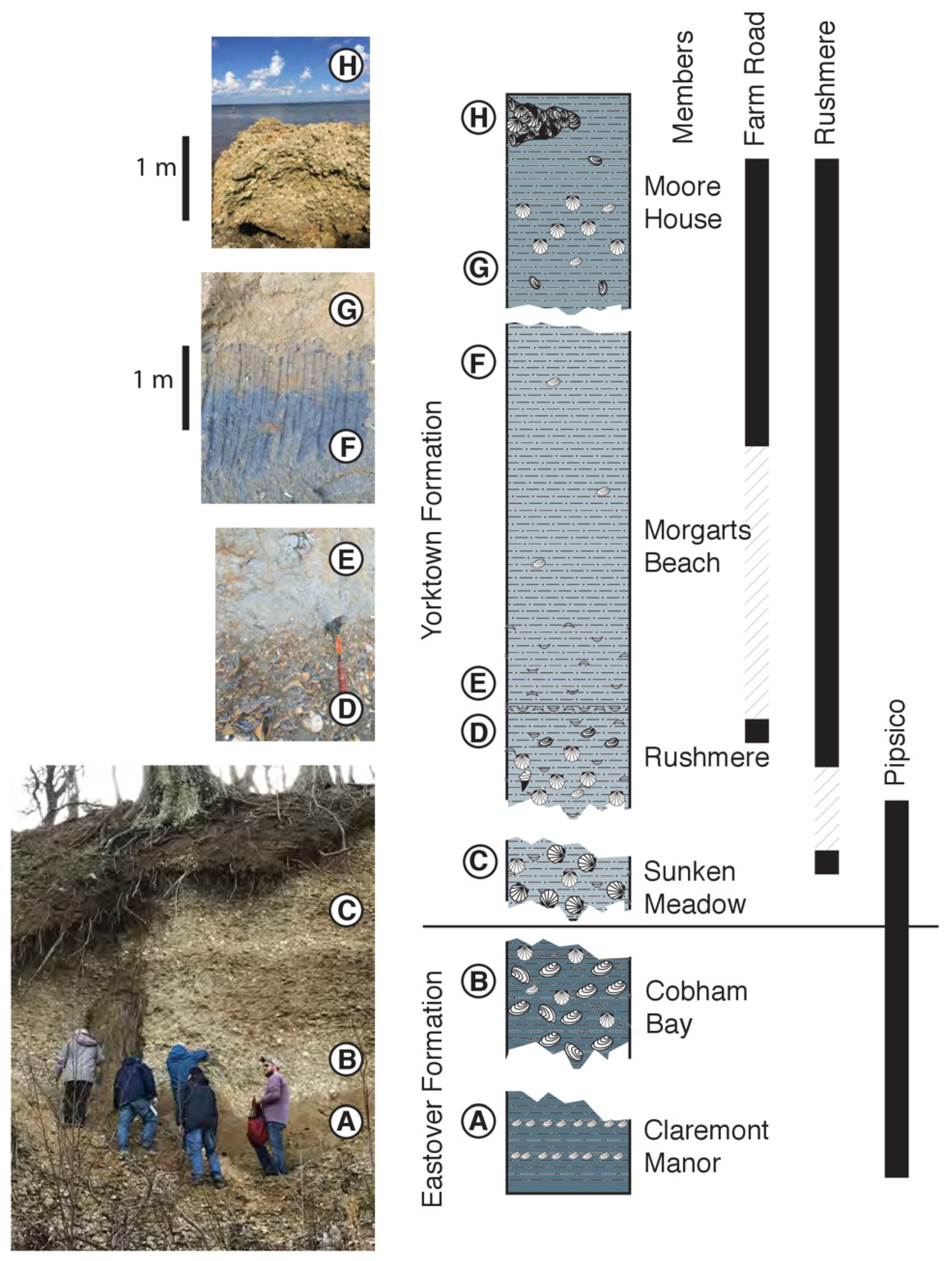 Geosciences 11 00486 g004