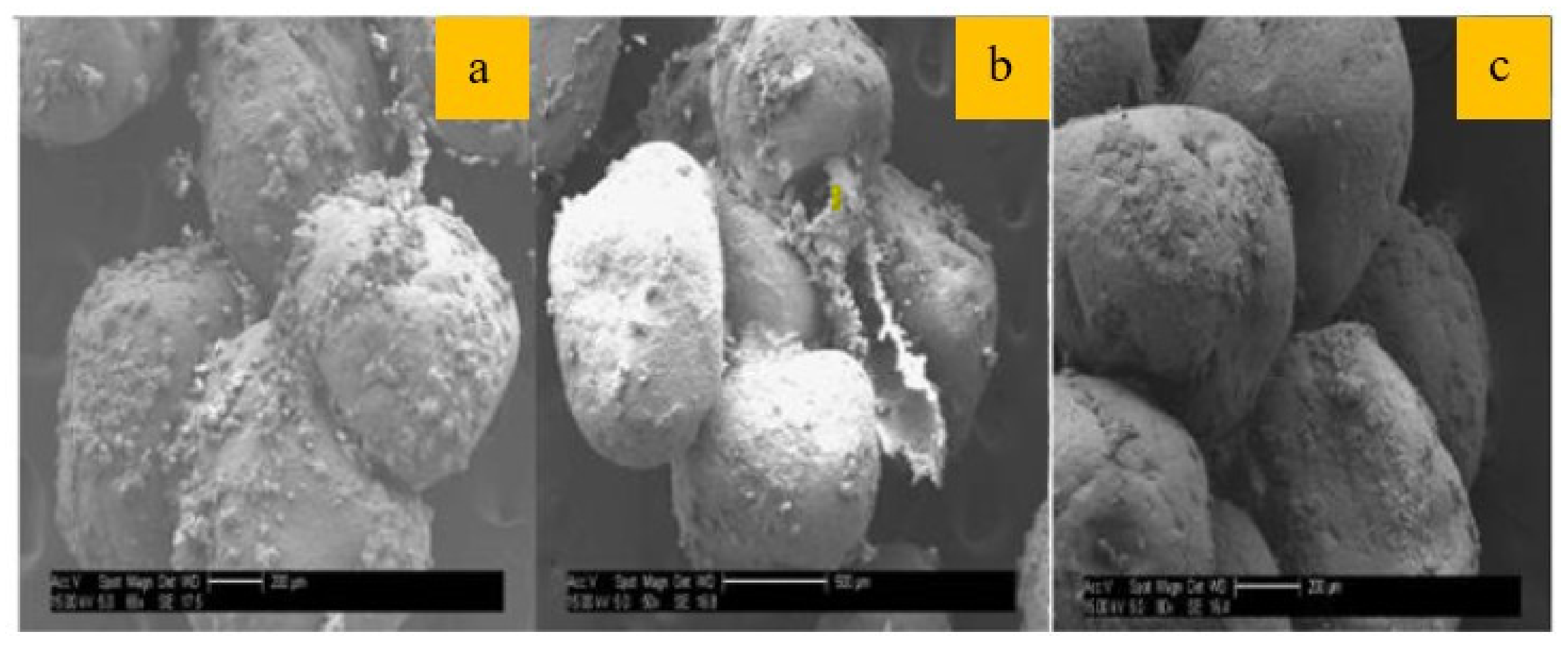 Geosciences 11 00492 g010