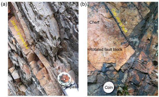 Geosciences 11 00501 g005
