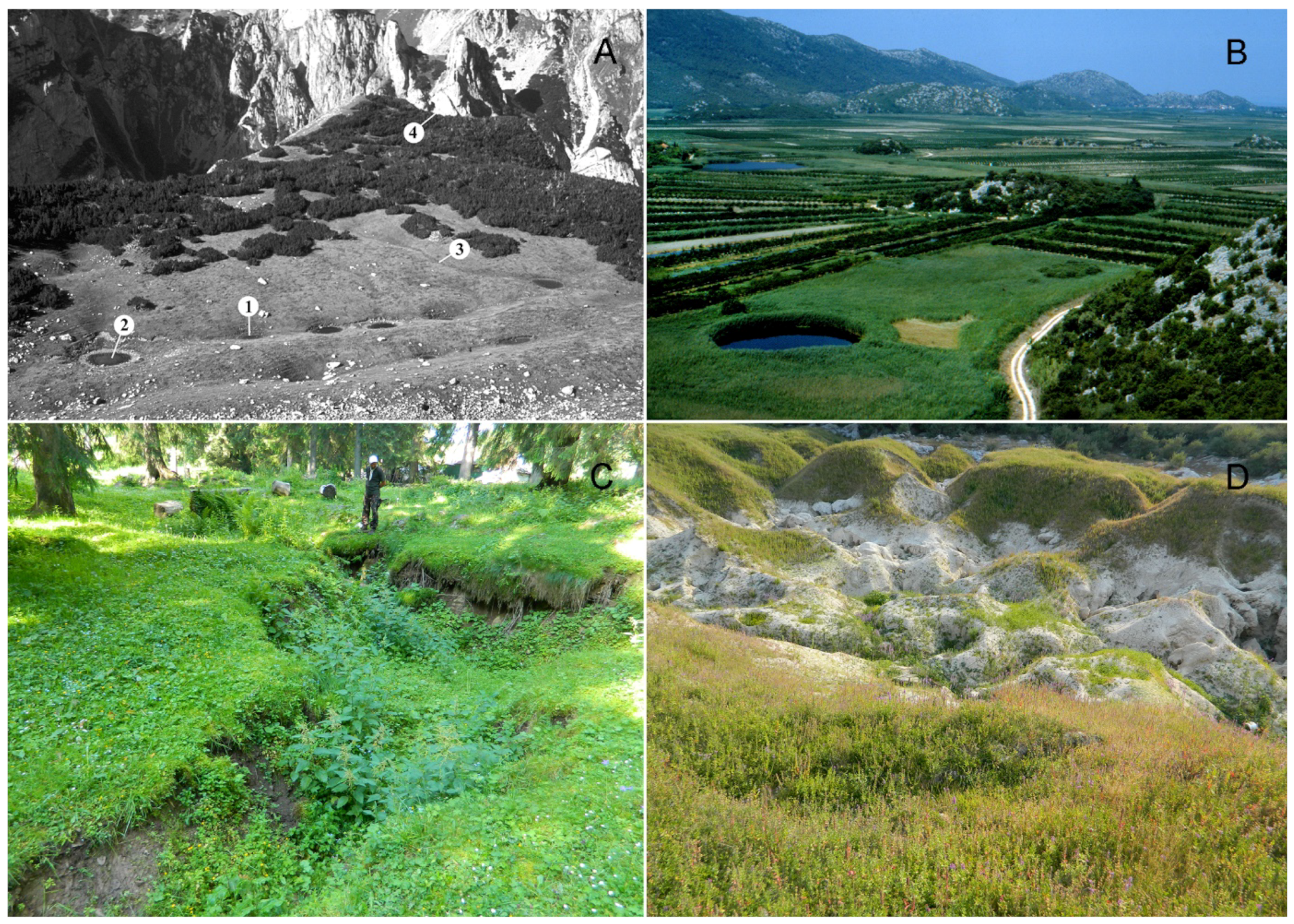 Geosciences 11 00513 g002