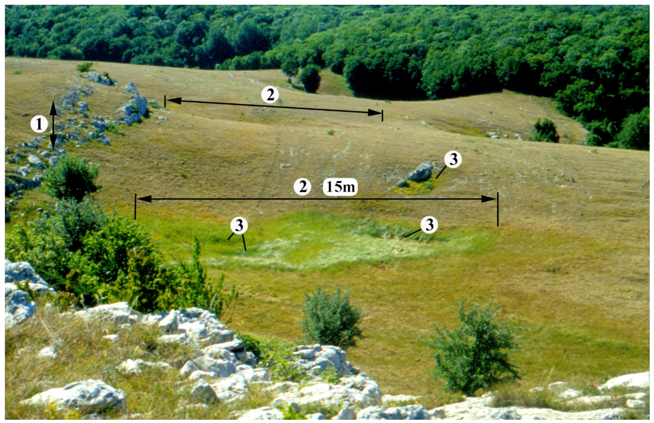 Geosciences 11 00513 g014