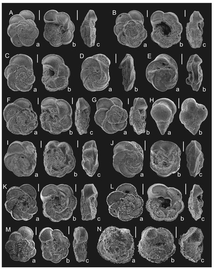 Geosciences 12 00022 g006