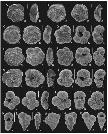 Geosciences 12 00022 g007