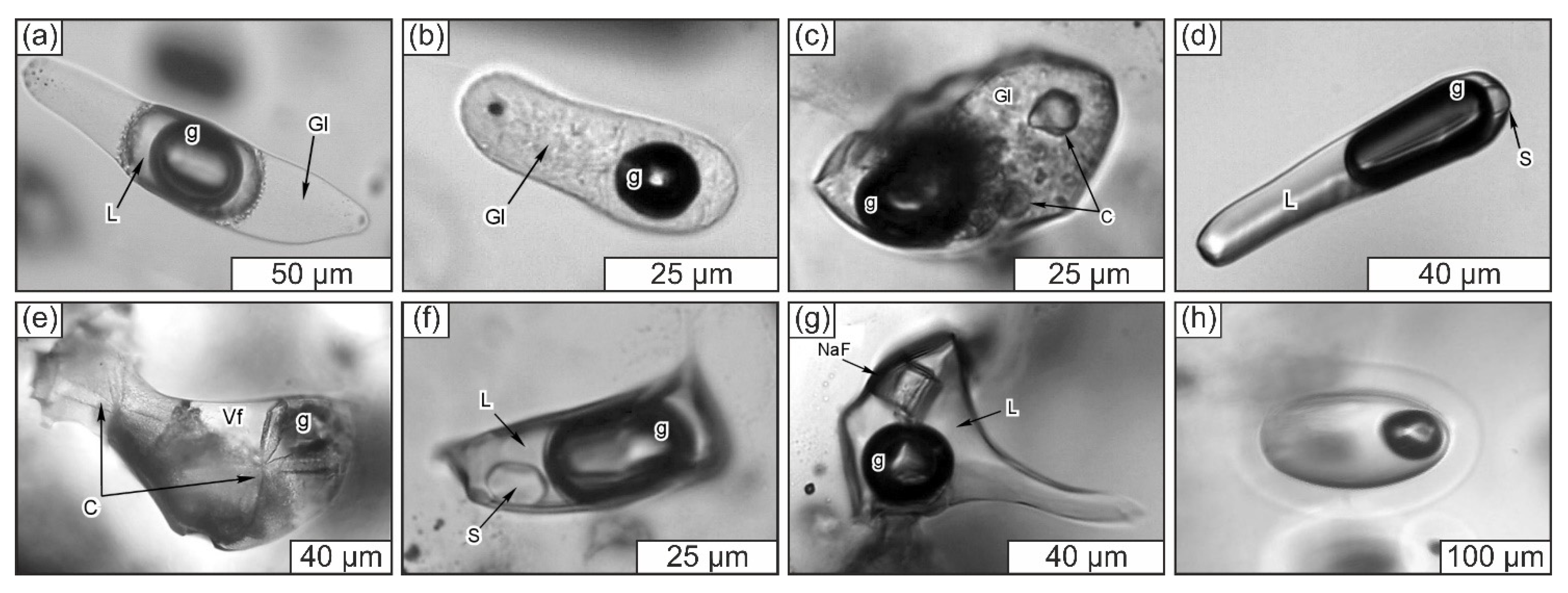 Geosciences 12 00028 g002 Geosciences 12 00028 g002