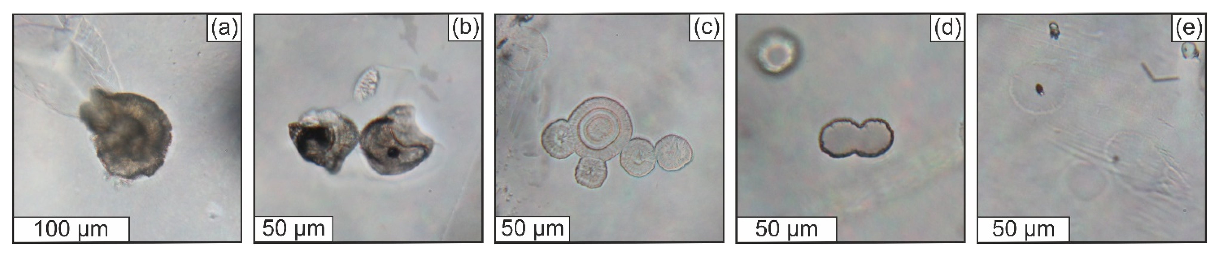 Geosciences 12 00028 g006 Geosciences 12 00028 g006