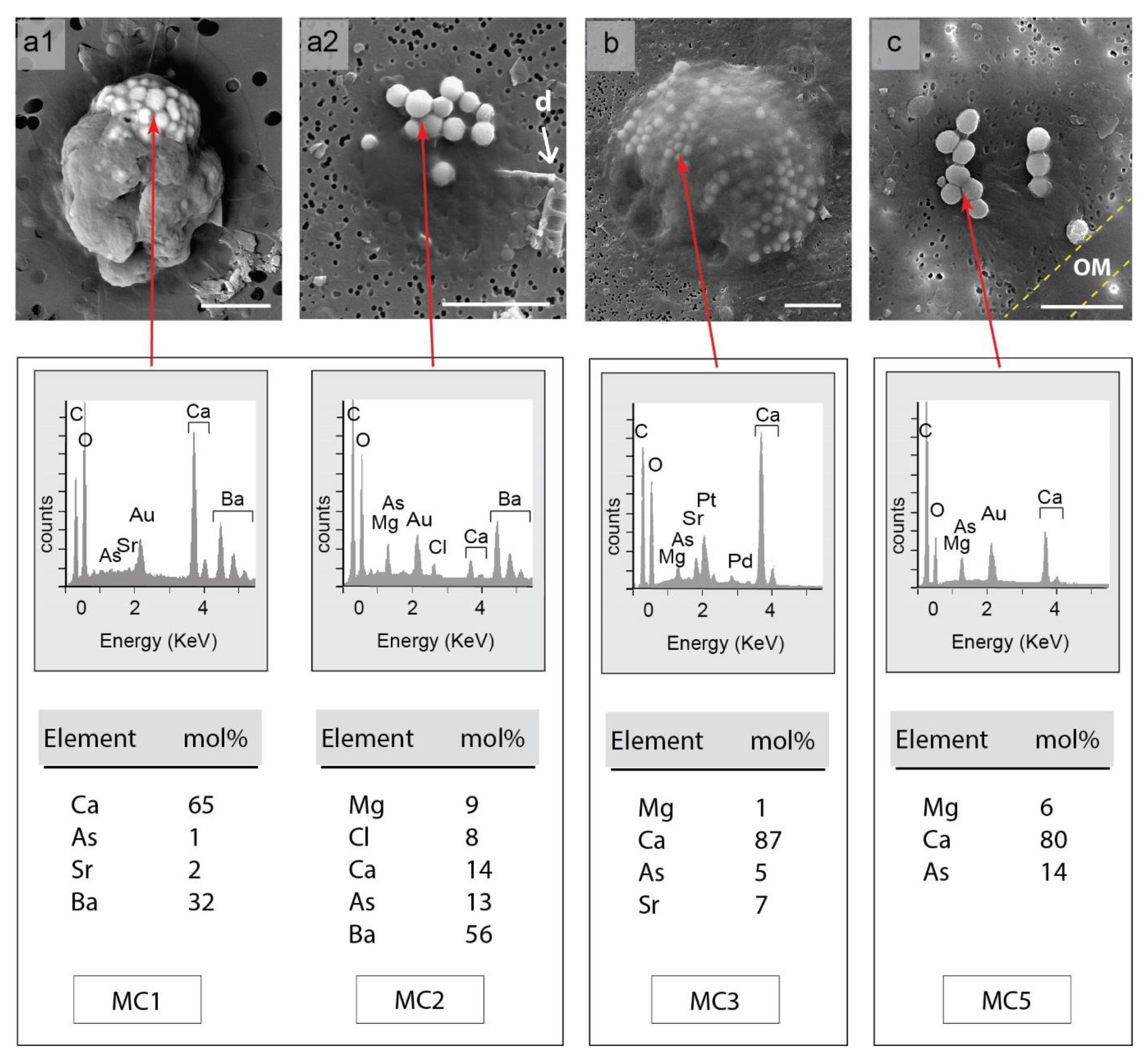 Geosciences 12 00032 g001