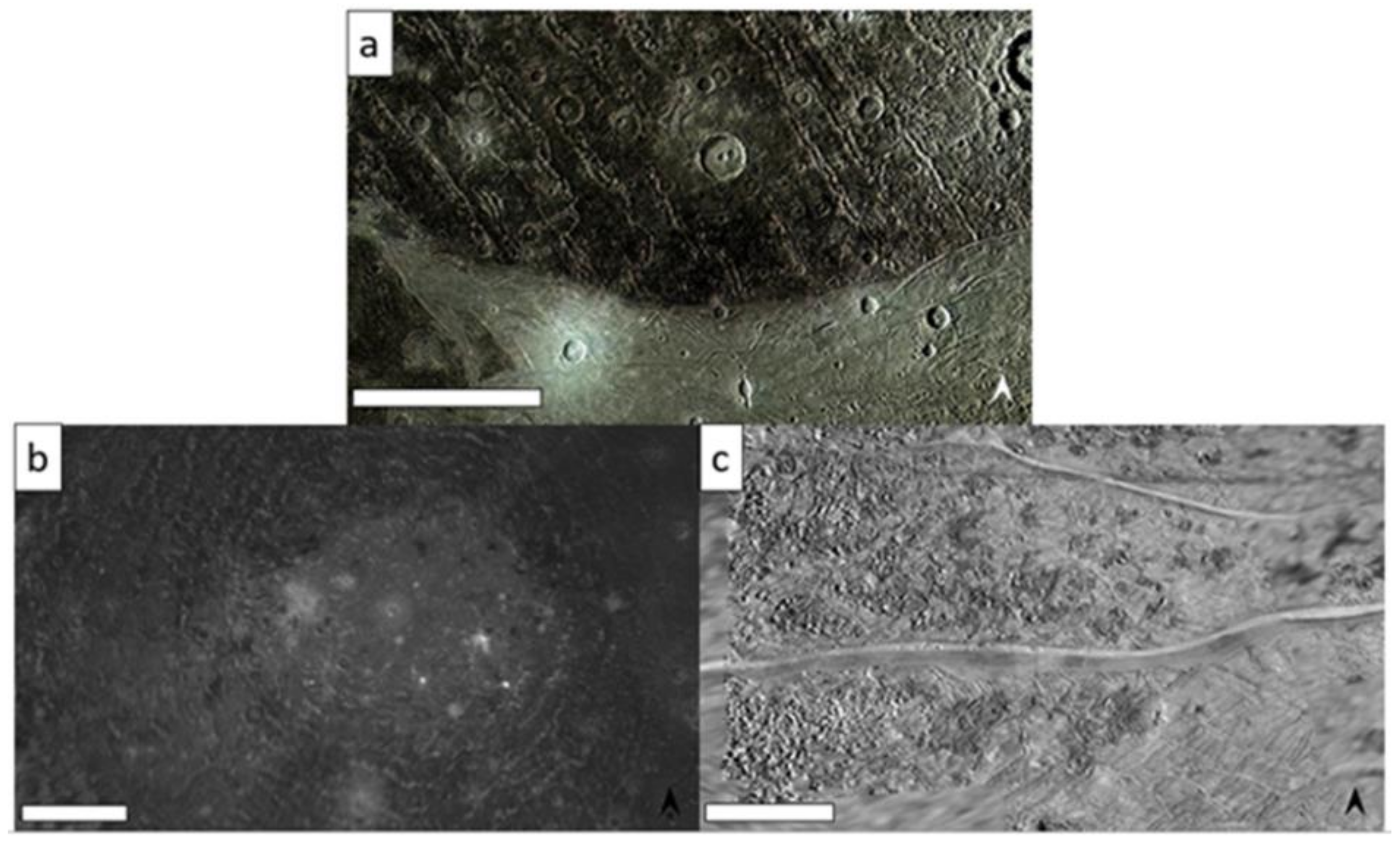 Geosciences 12 00051 g007