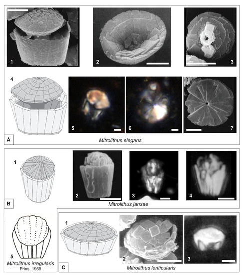 Geosciences 12 00059 g003 550