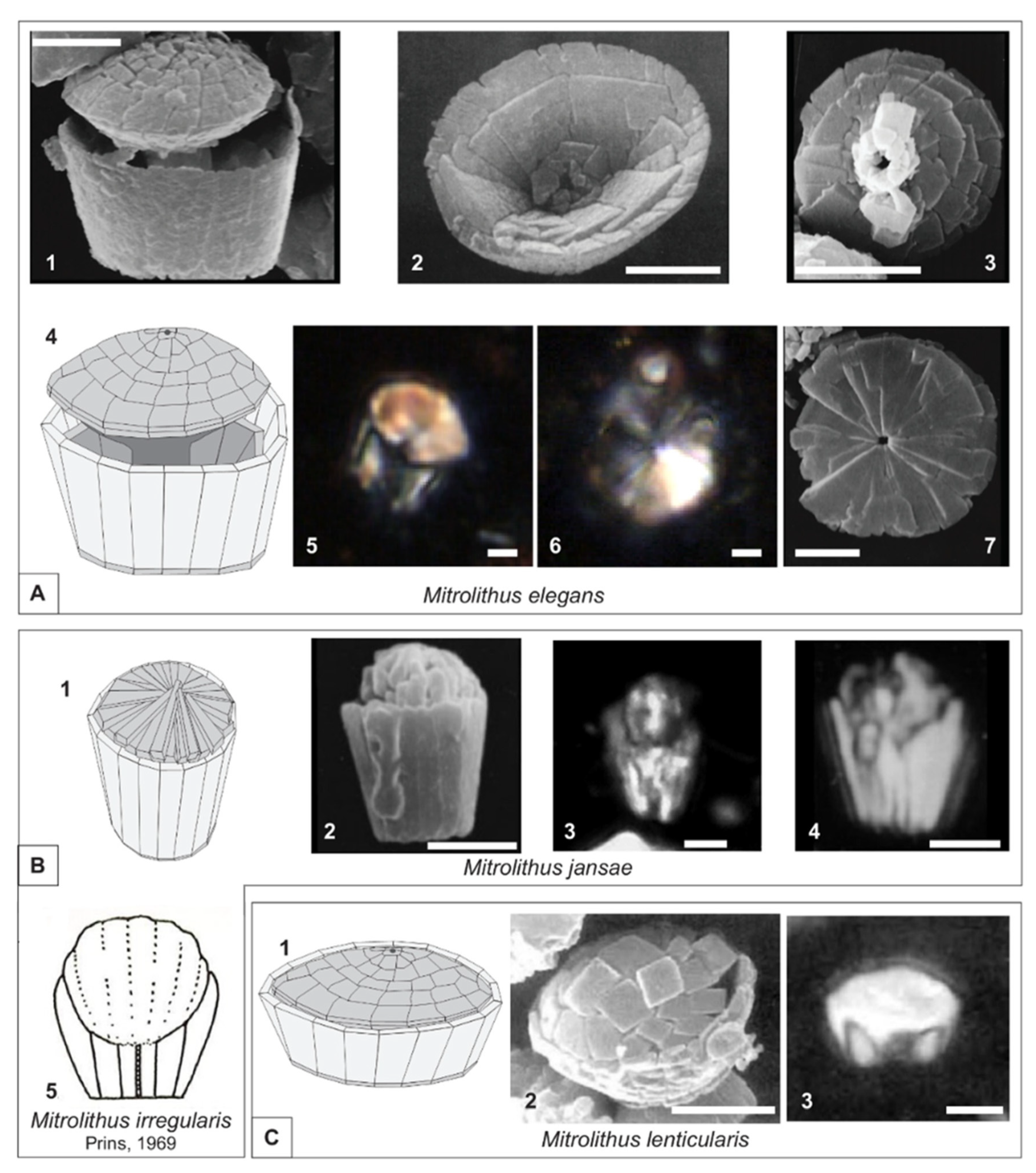 Geosciences 12 00059 g003