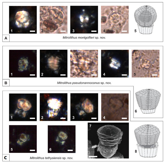 Geosciences 12 00059 g004 550