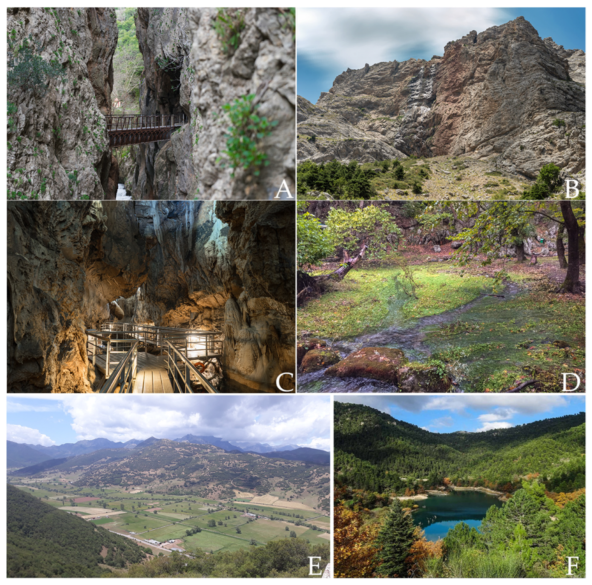 Geosciences 12 00063 g002 Geosciences 12 00063 g002