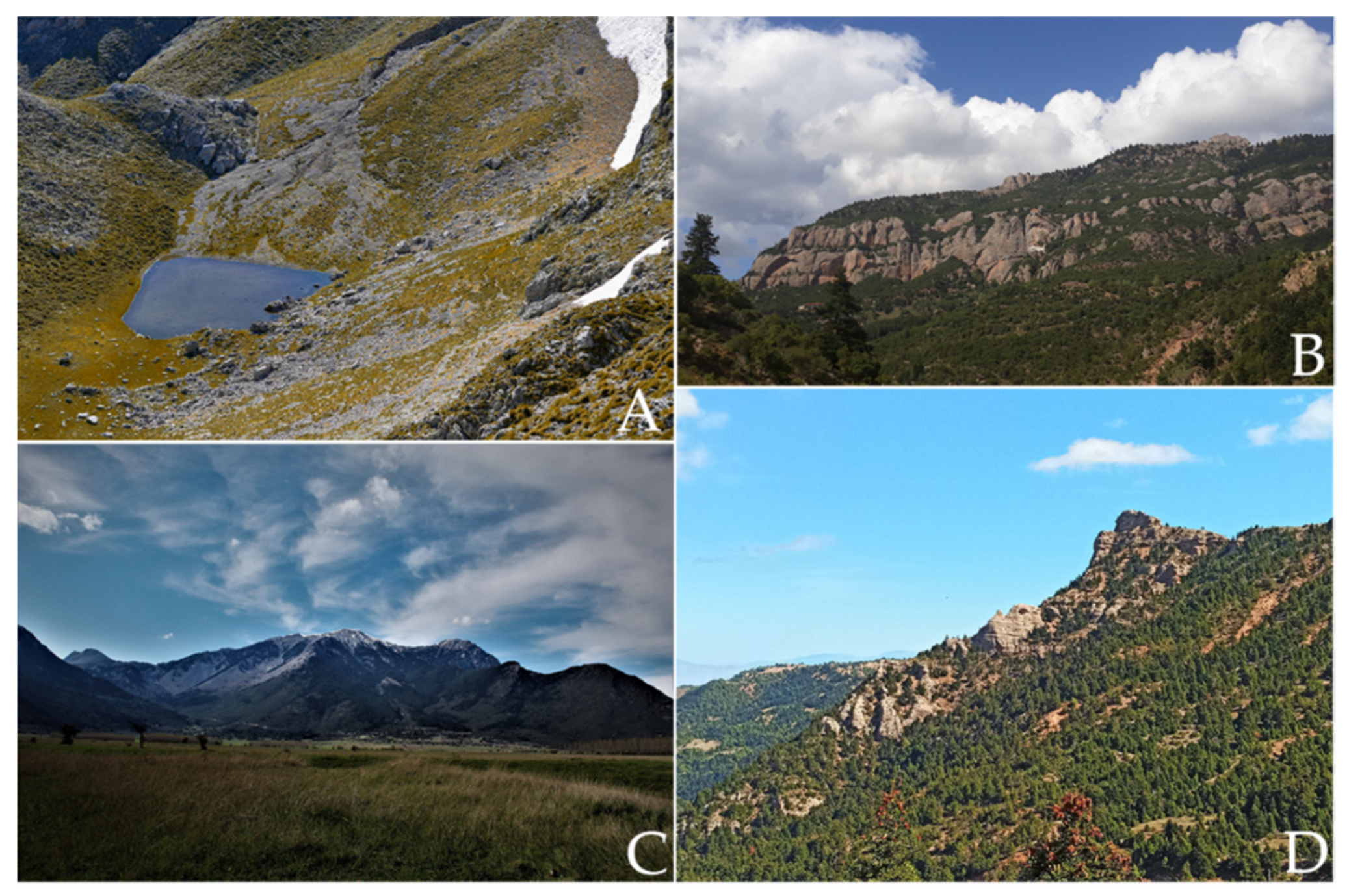 Geosciences 12 00063 g003 Geosciences 12 00063 g003