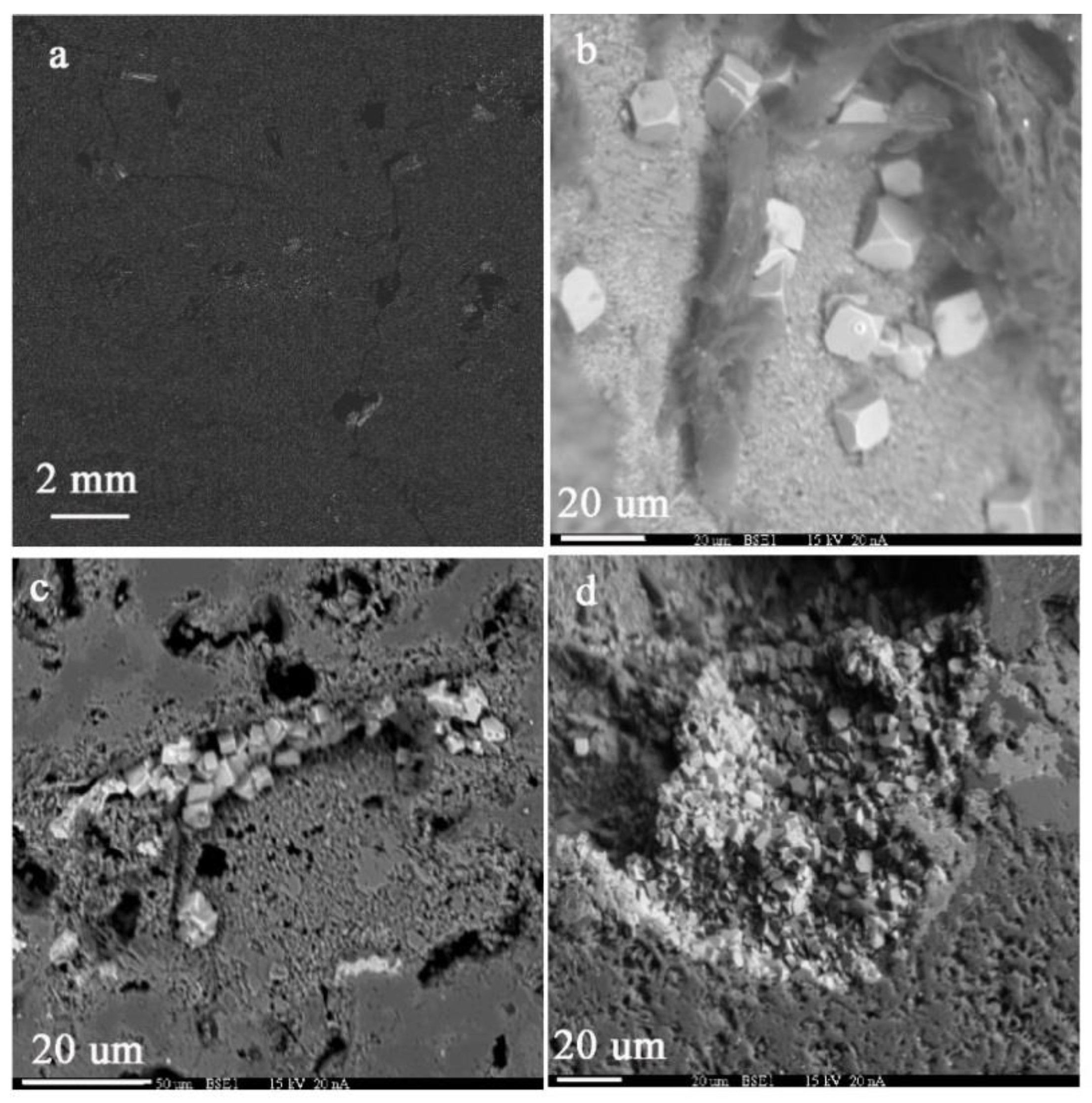 Geosciences 12 00069 g003 Geosciences 12 00069 g003