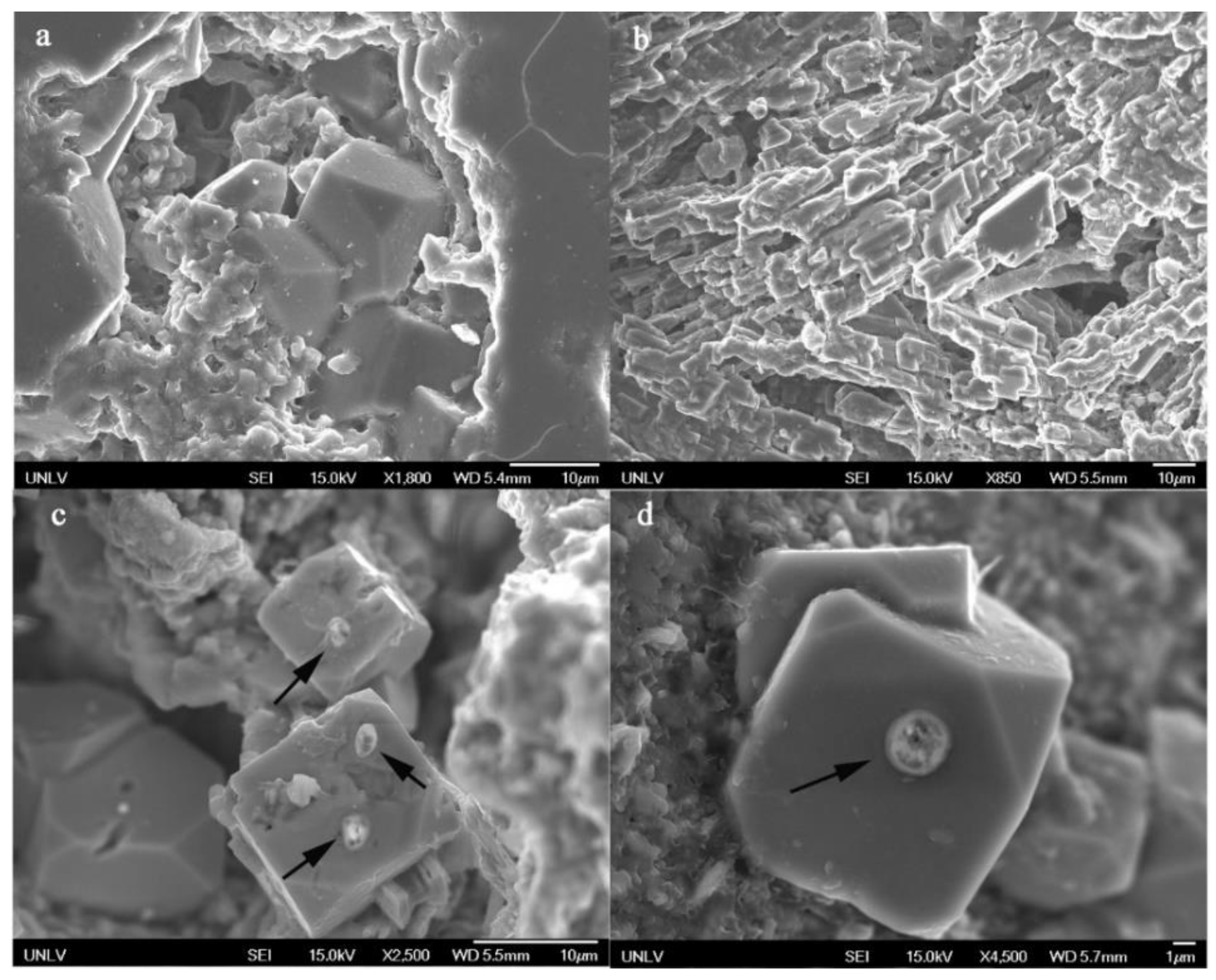 Geosciences 12 00069 g009 Geosciences 12 00069 g009