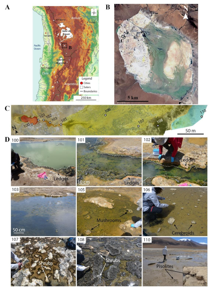 Geosciences 12 00088 g001