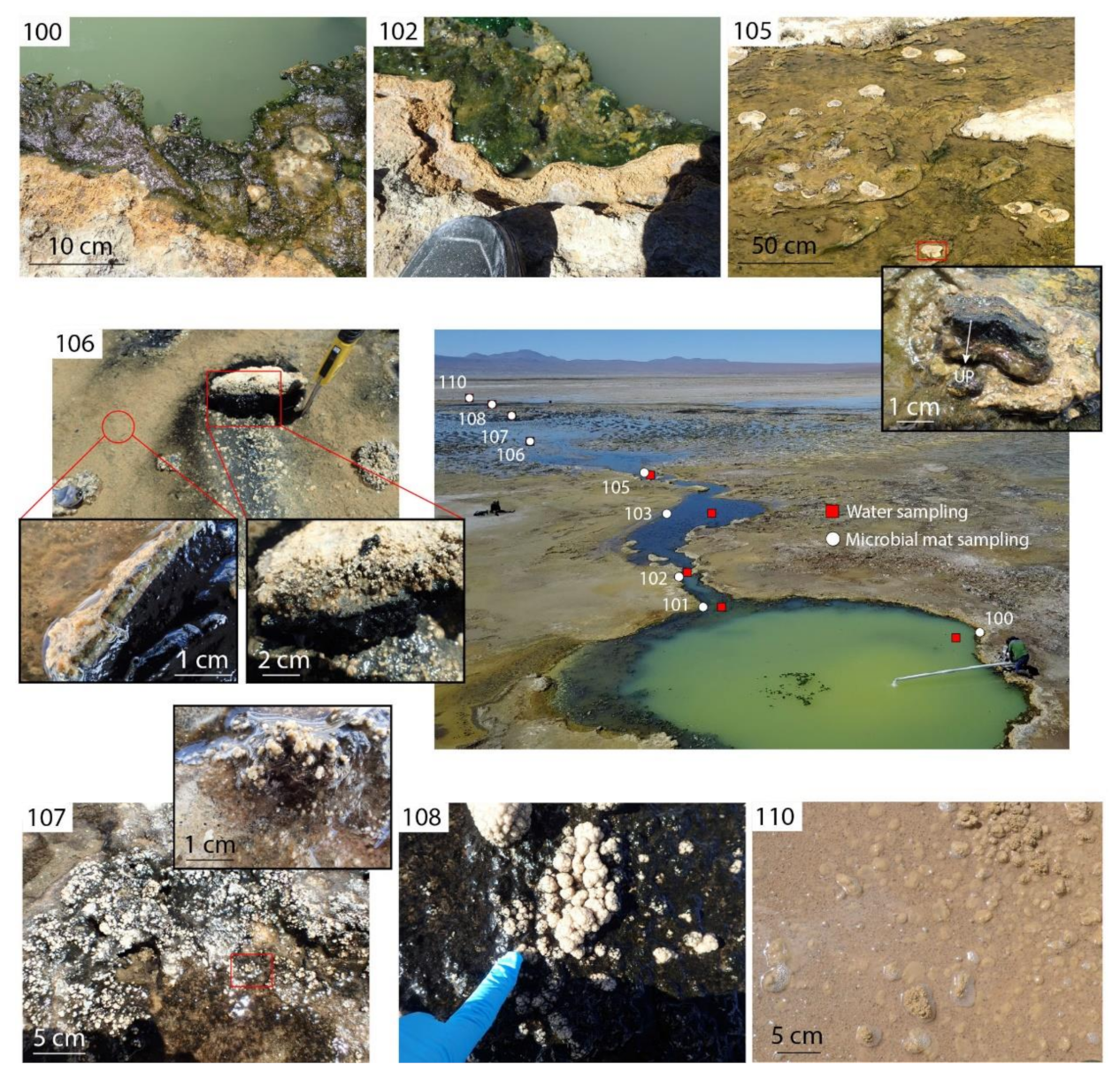 Geosciences 12 00088 g002