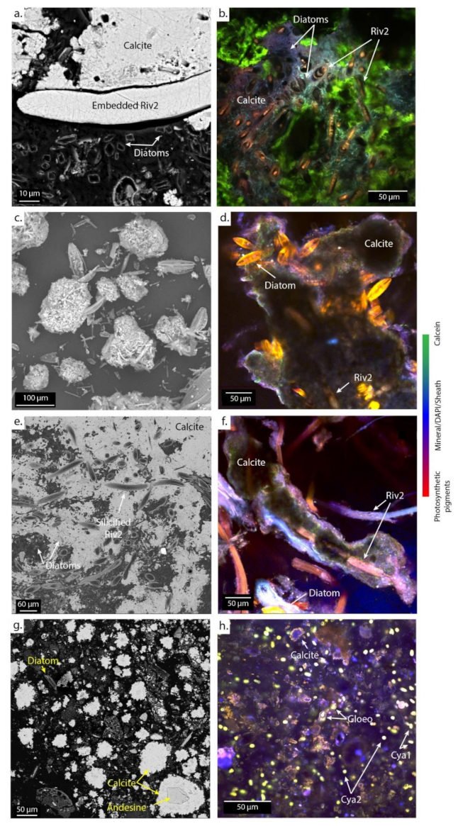 Geosciences 12 00088 g007