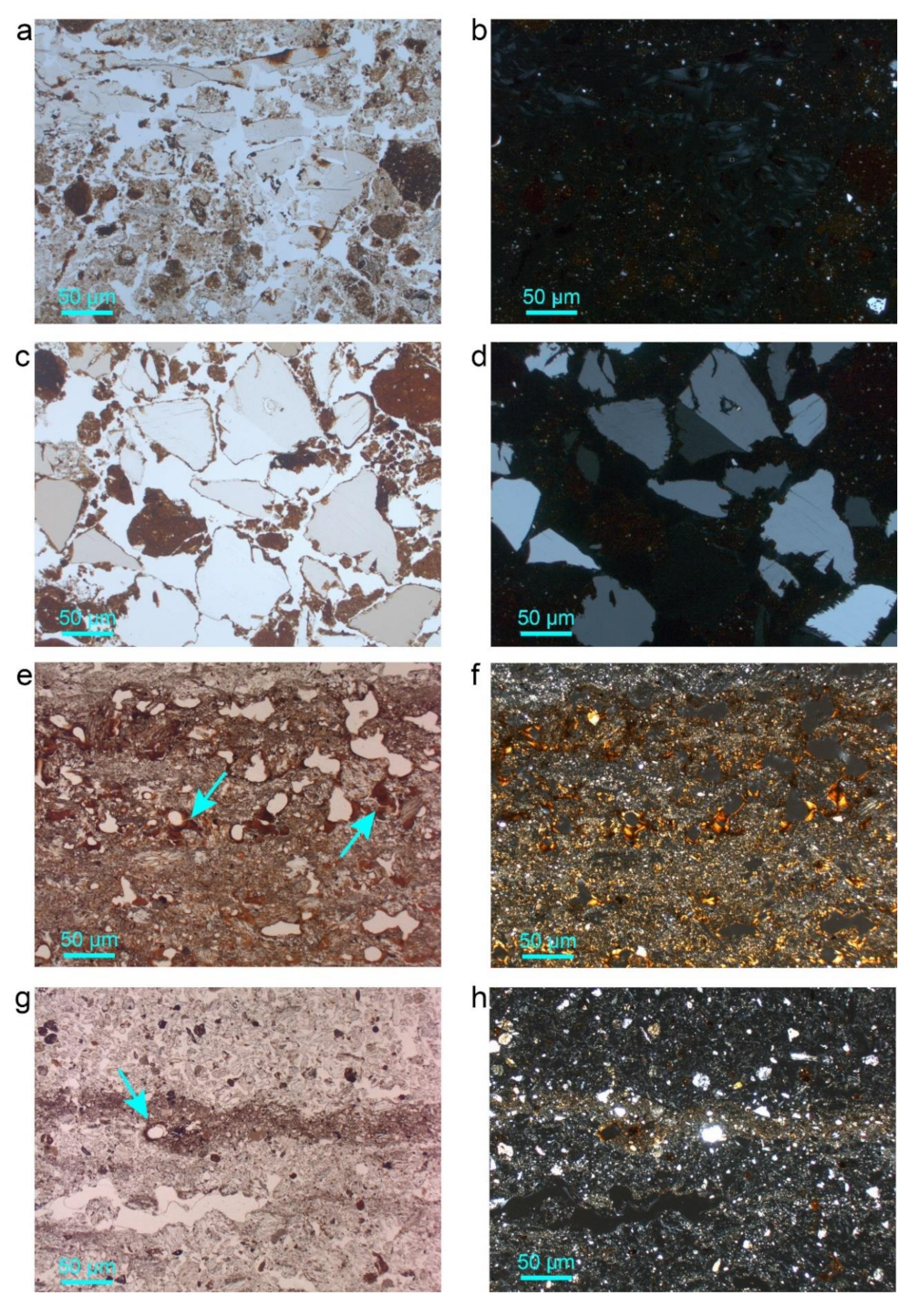 Geosciences 12 00092 g007