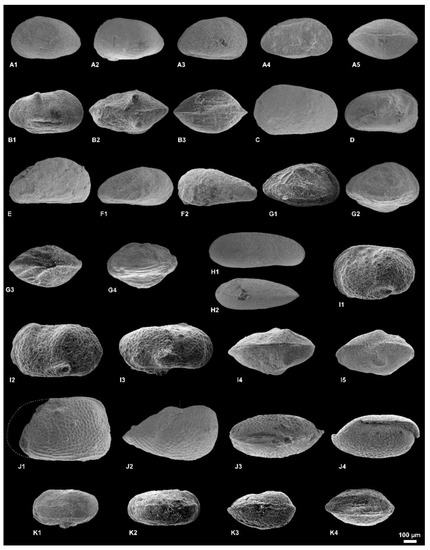 Geosciences 12 00093 g004 550