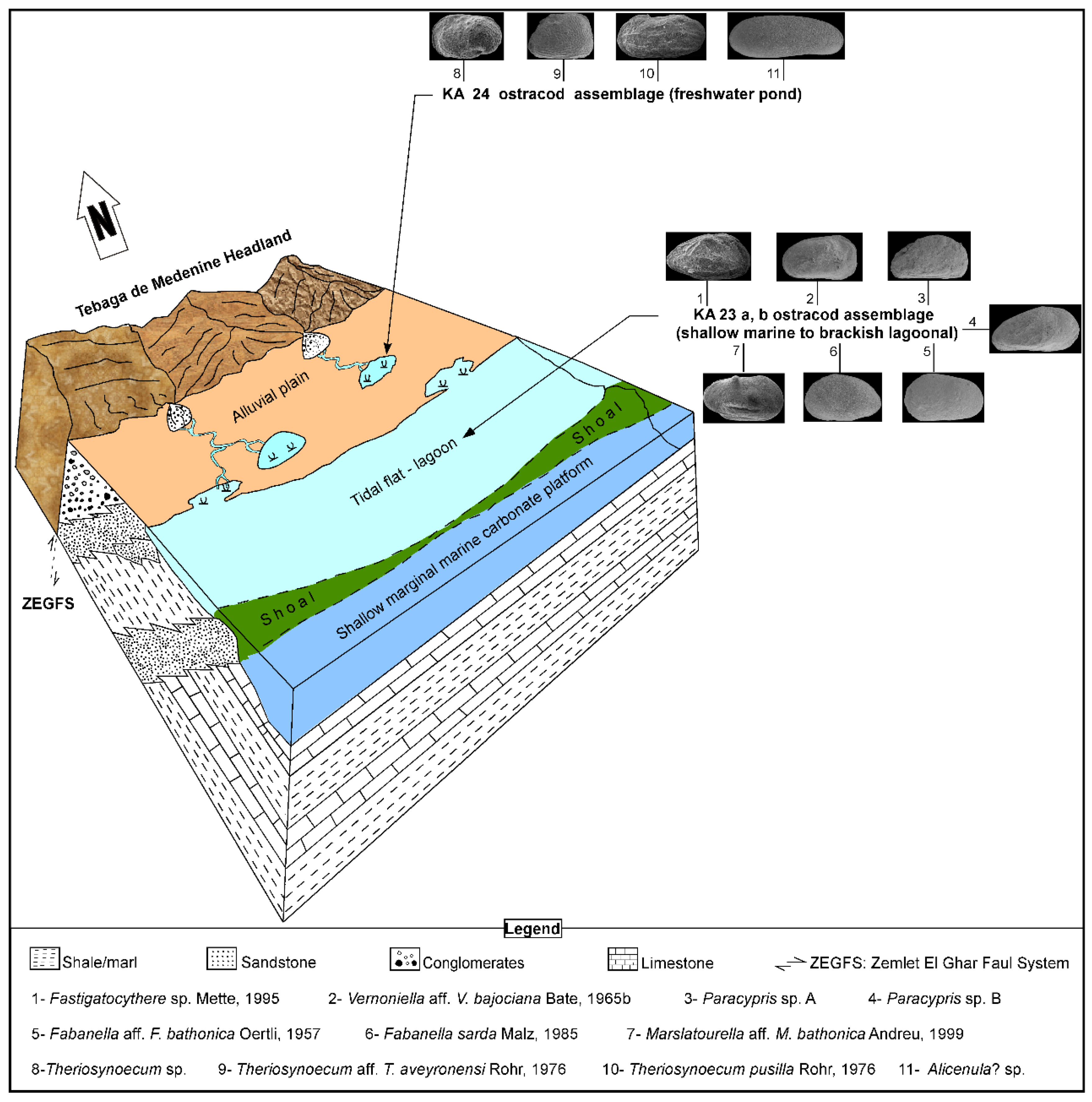 Geosciences 12 00093 g005