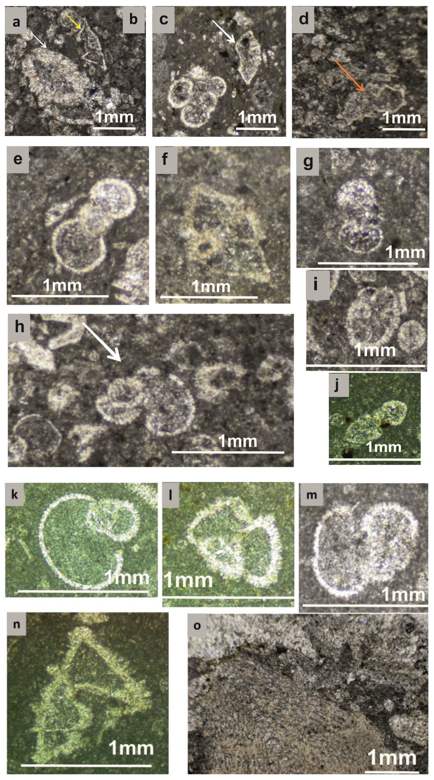 Geosciences 12 00106 g004