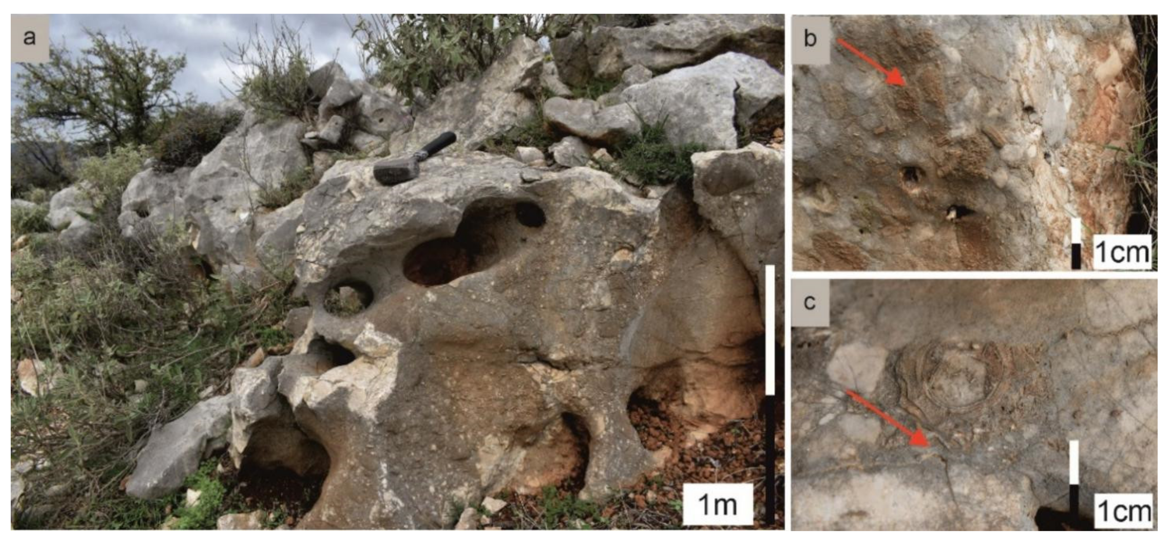 Geosciences 12 00106 g005