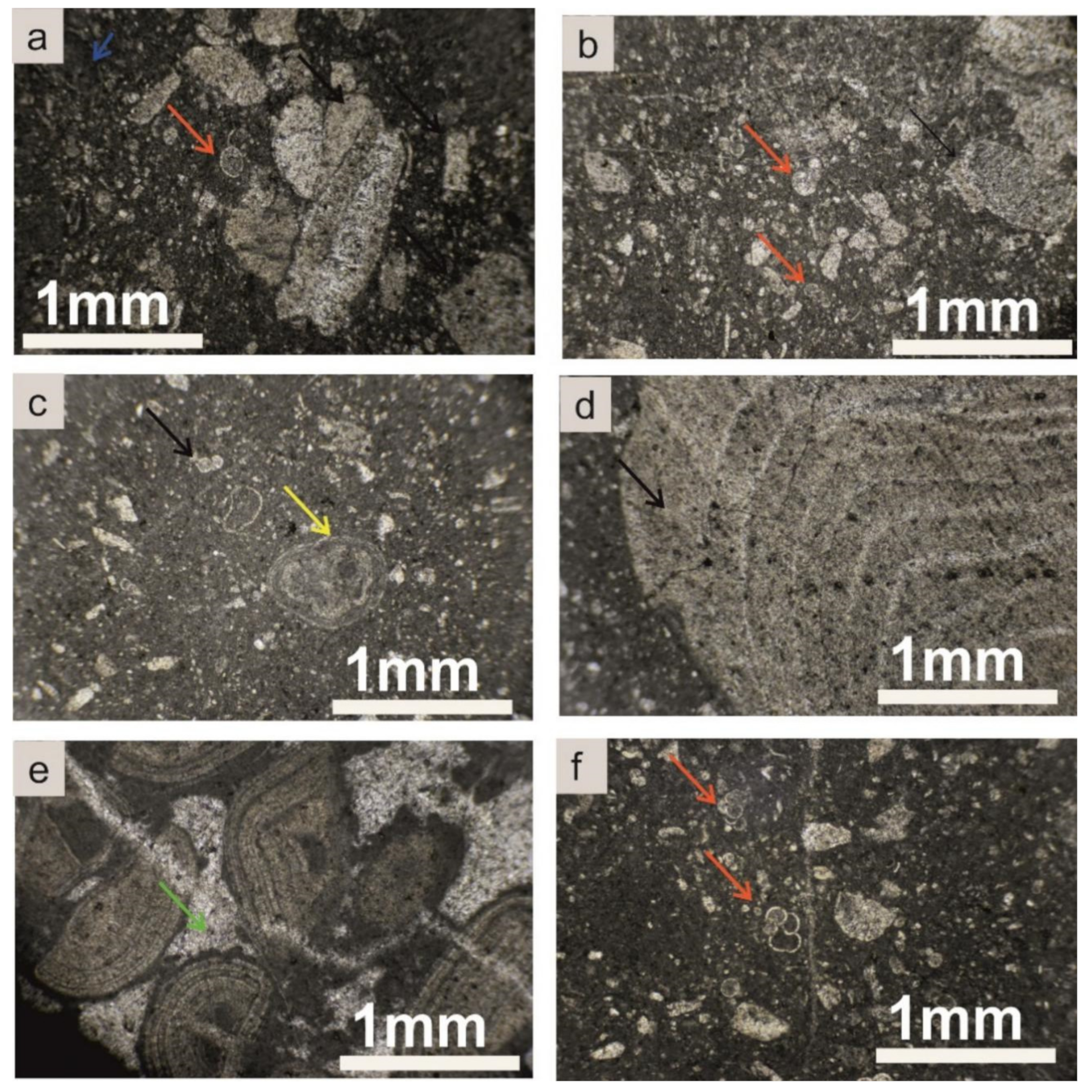Geosciences 12 00106 g006