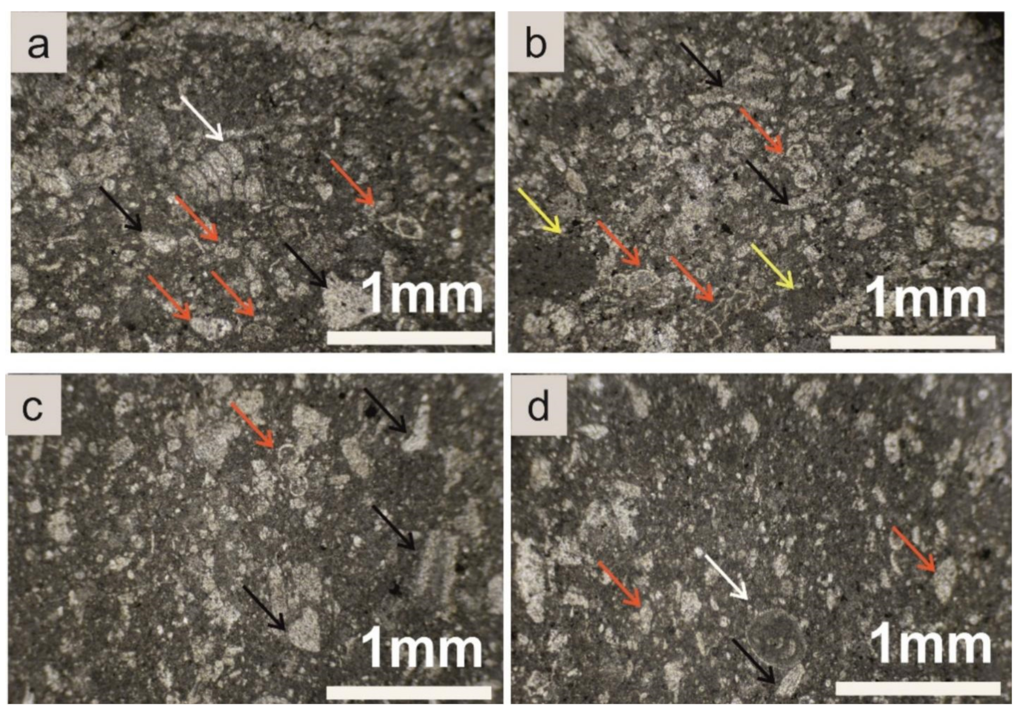Geosciences 12 00106 g007