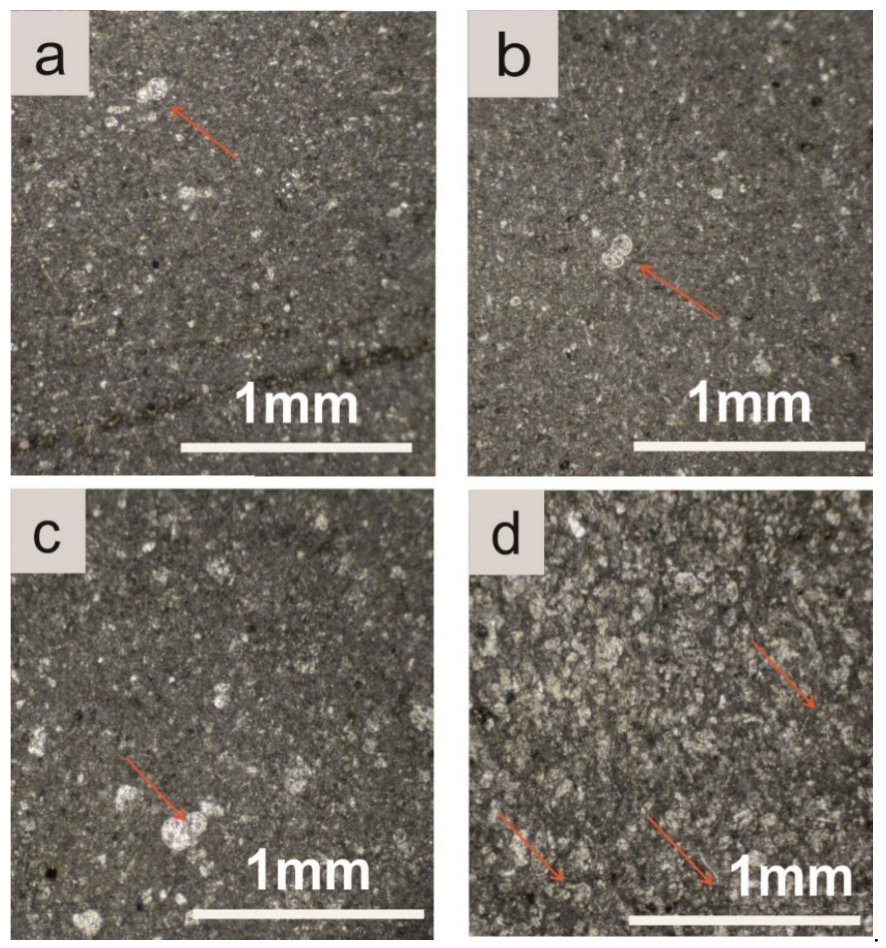 Geosciences 12 00106 g009