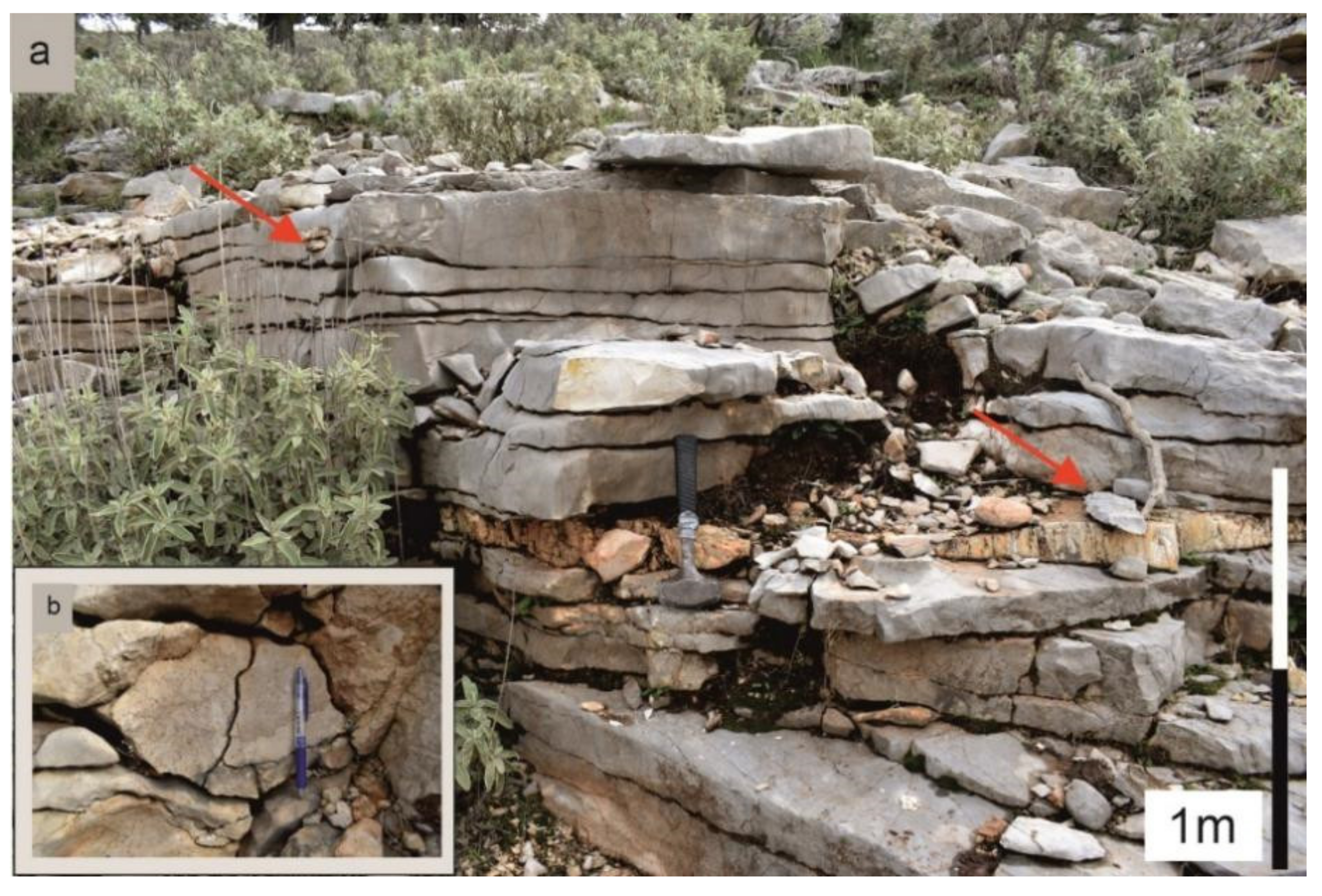 Geosciences 12 00106 g010