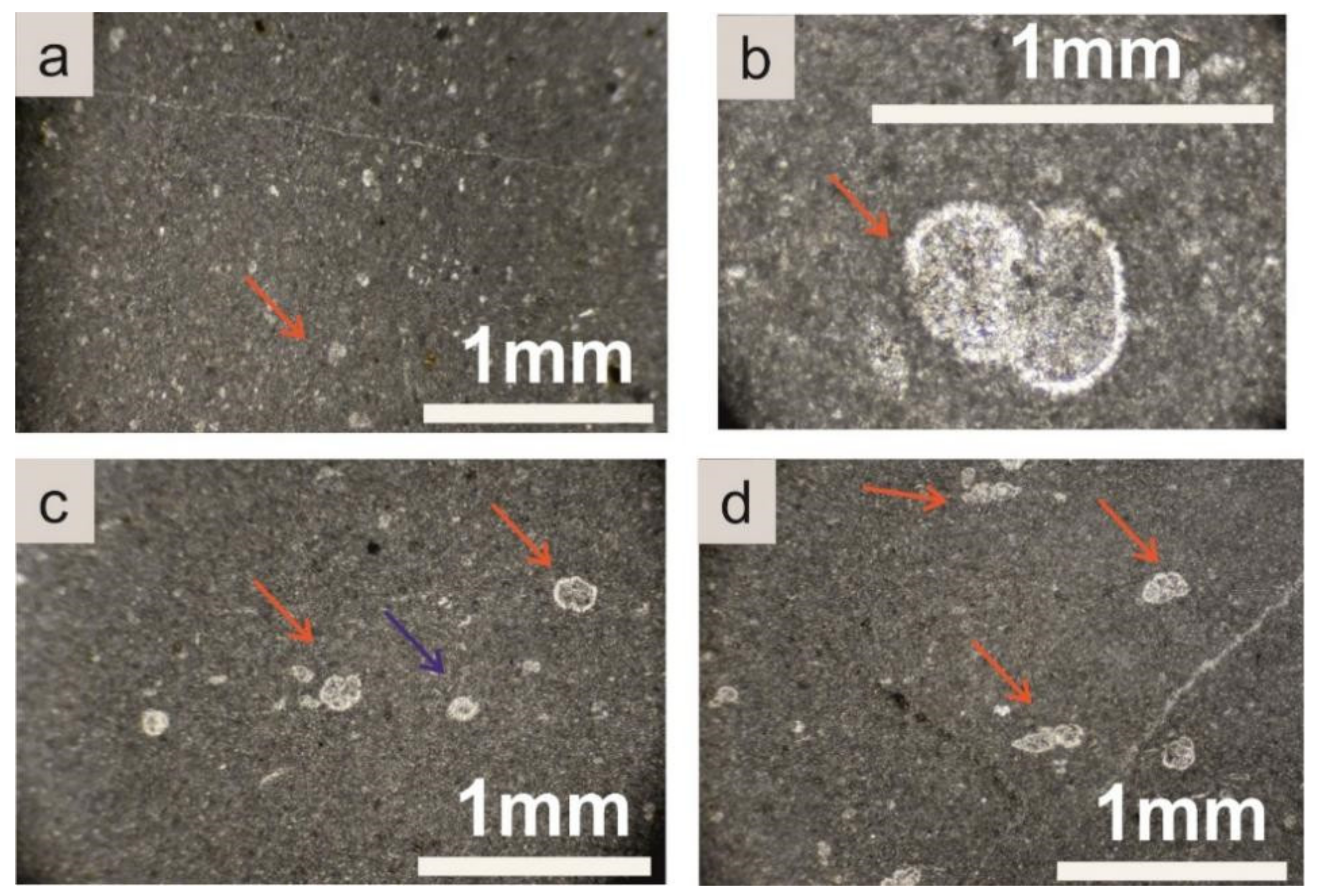 Geosciences 12 00106 g011