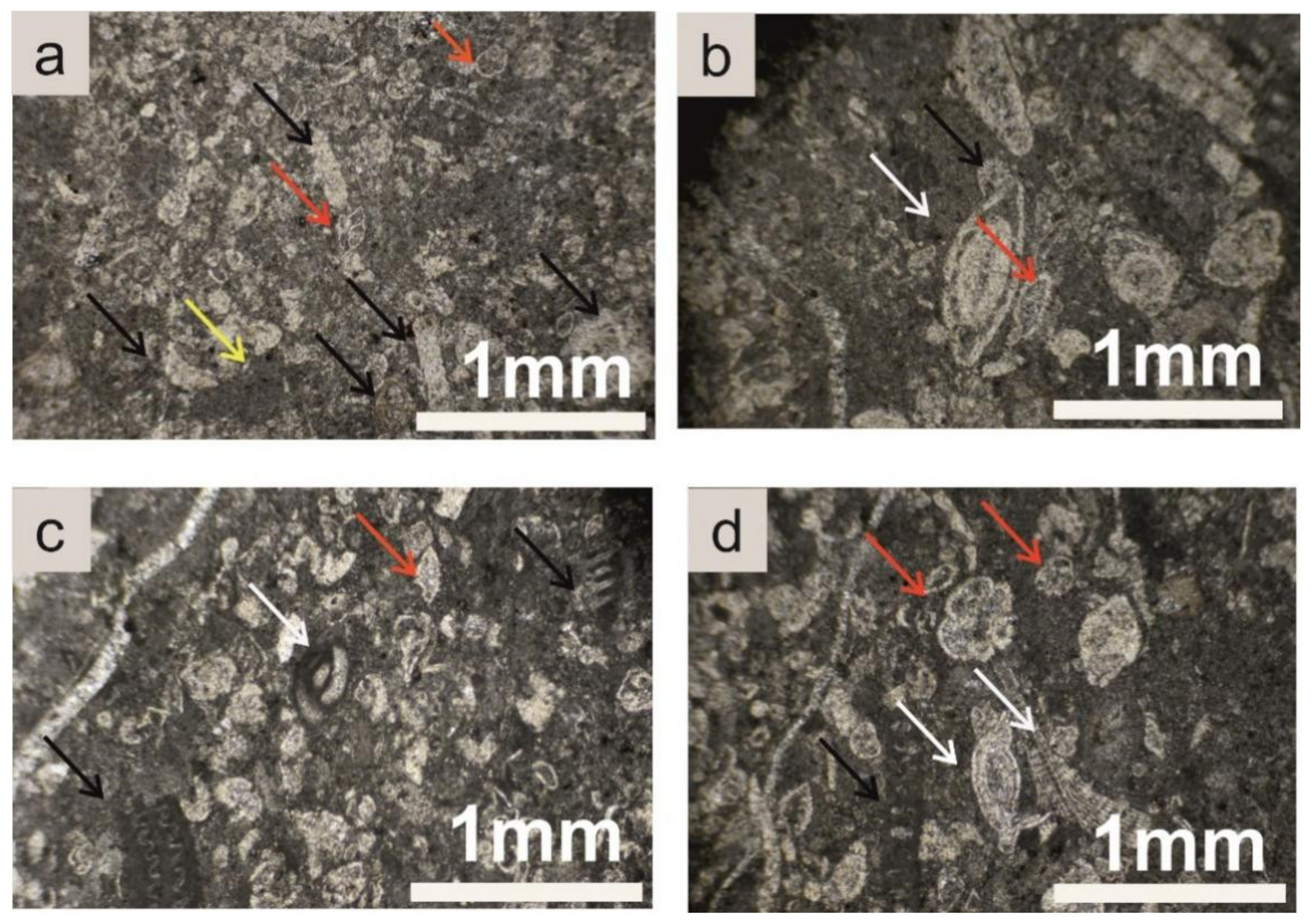 Geosciences 12 00106 g012