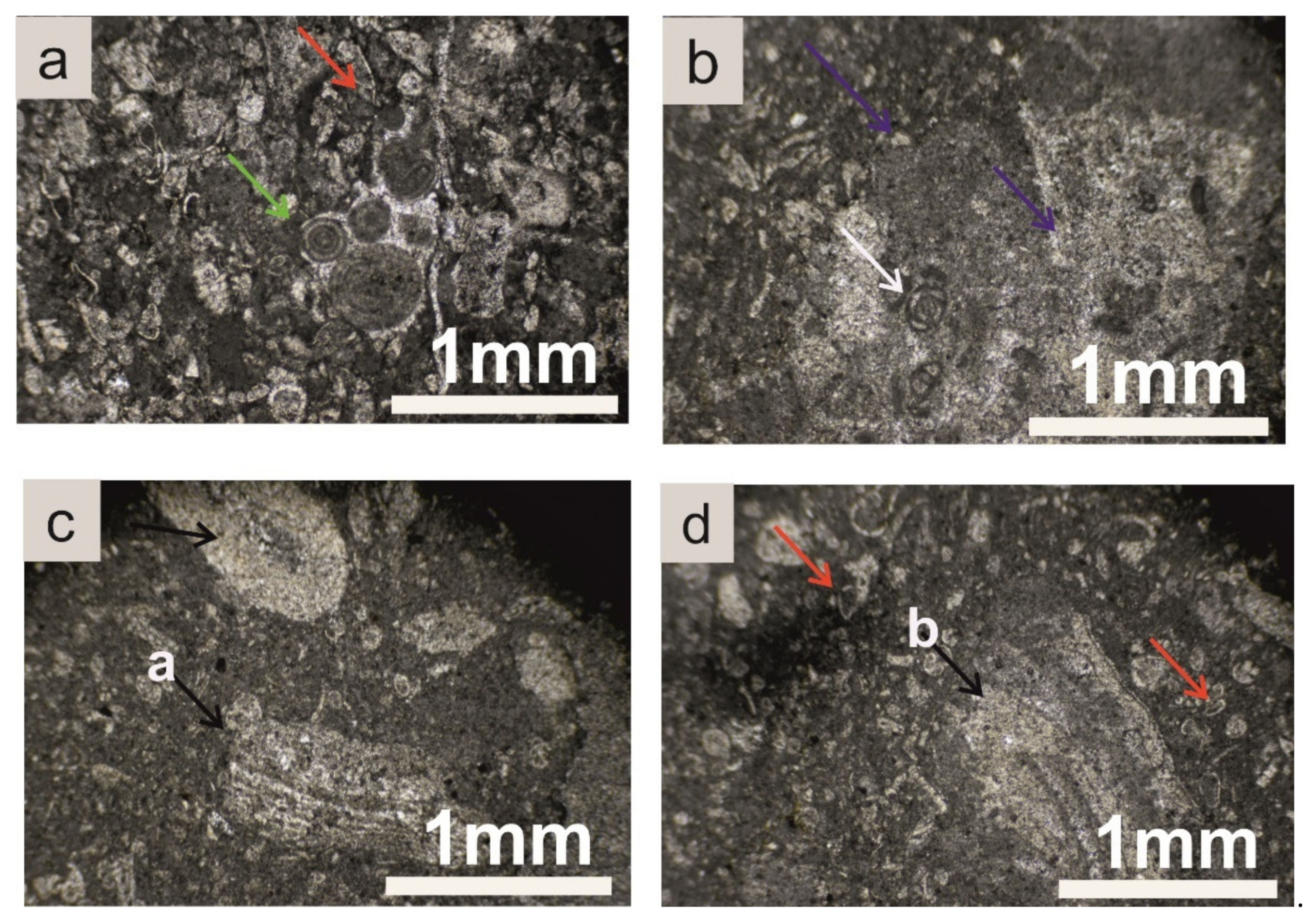 Geosciences 12 00106 g013