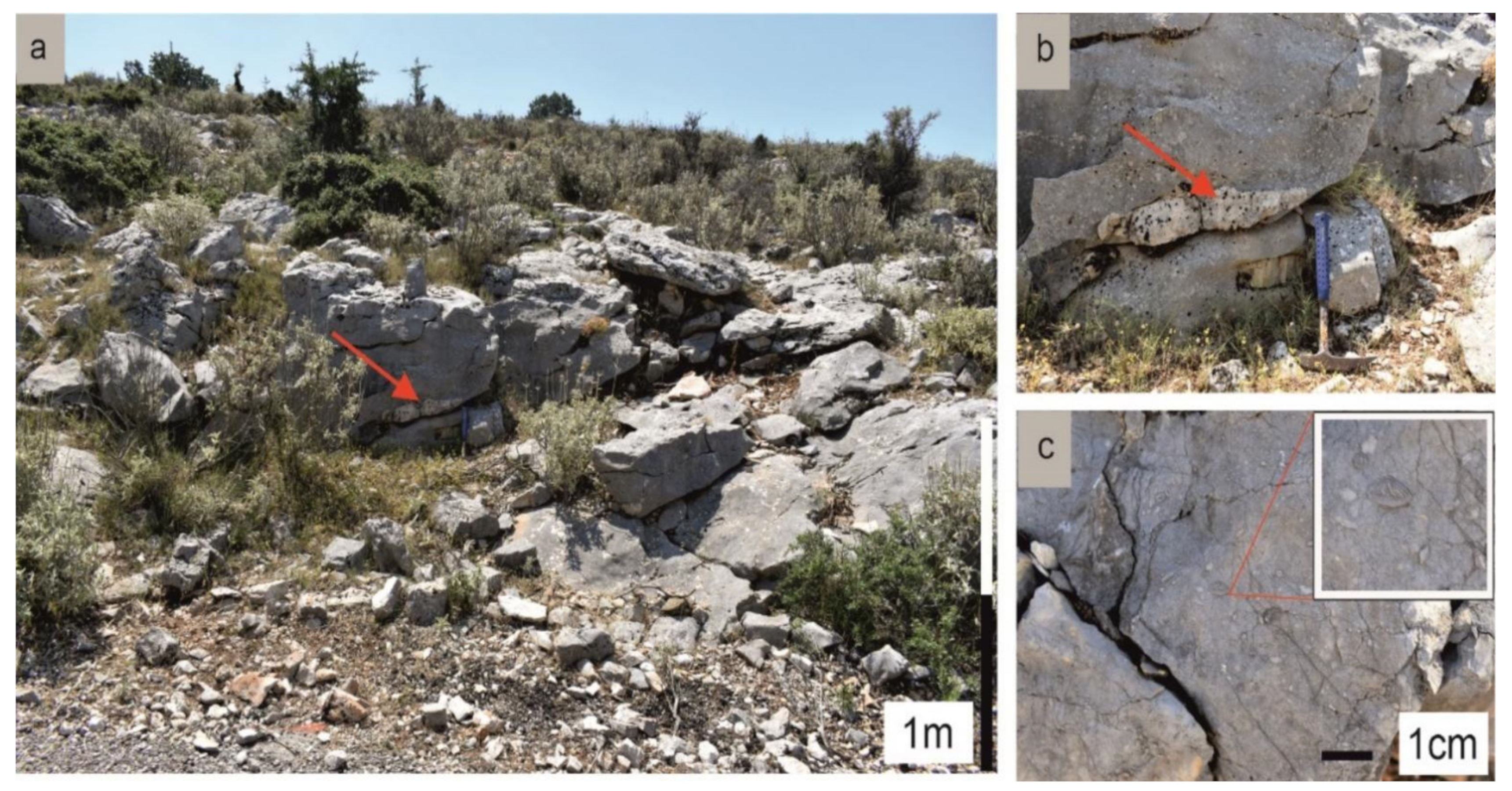 Geosciences 12 00106 g014