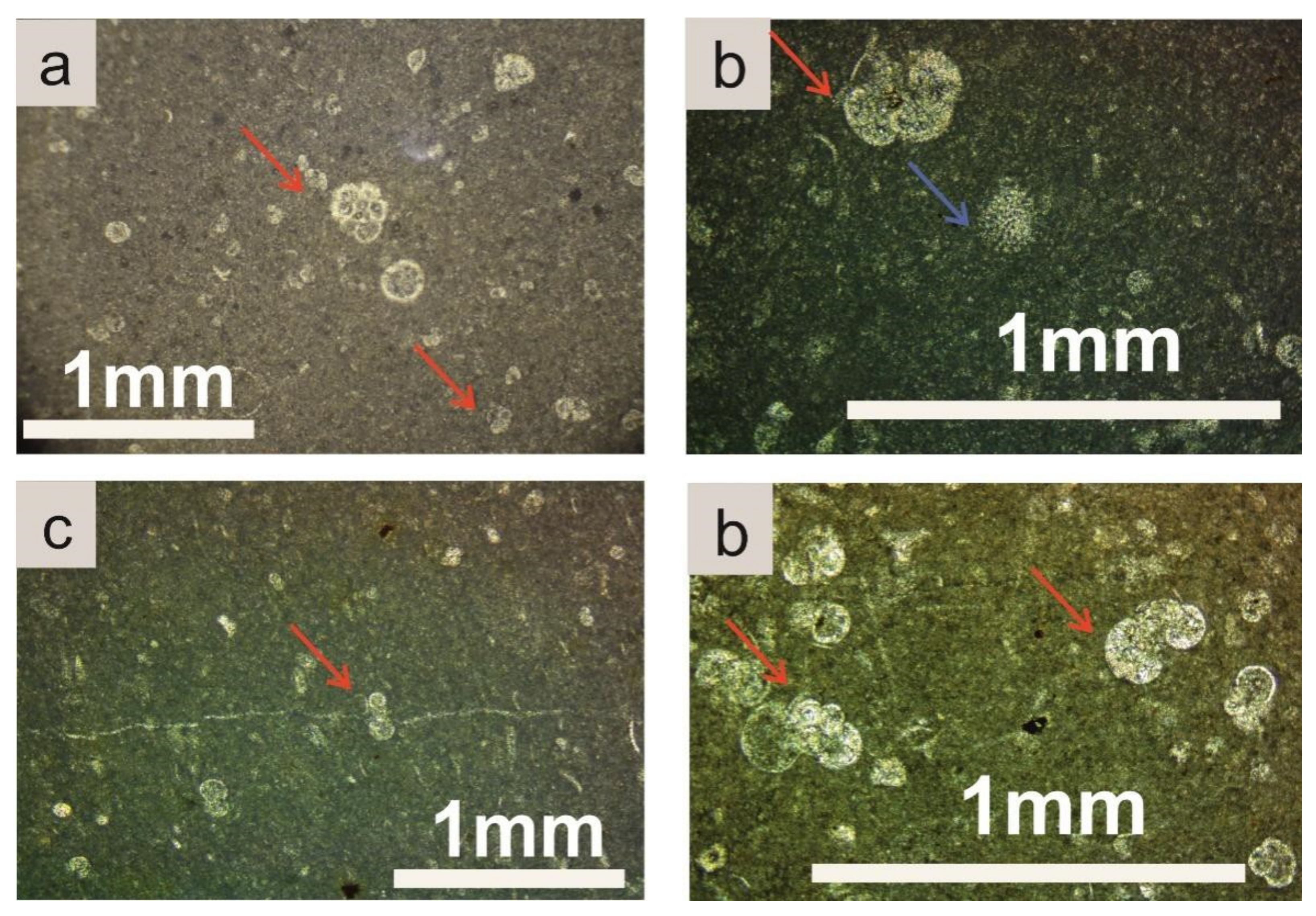 Geosciences 12 00106 g015