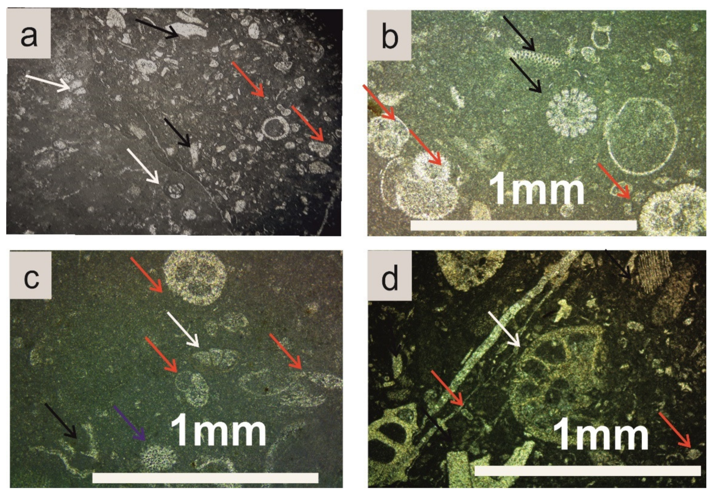 Geosciences 12 00106 g016