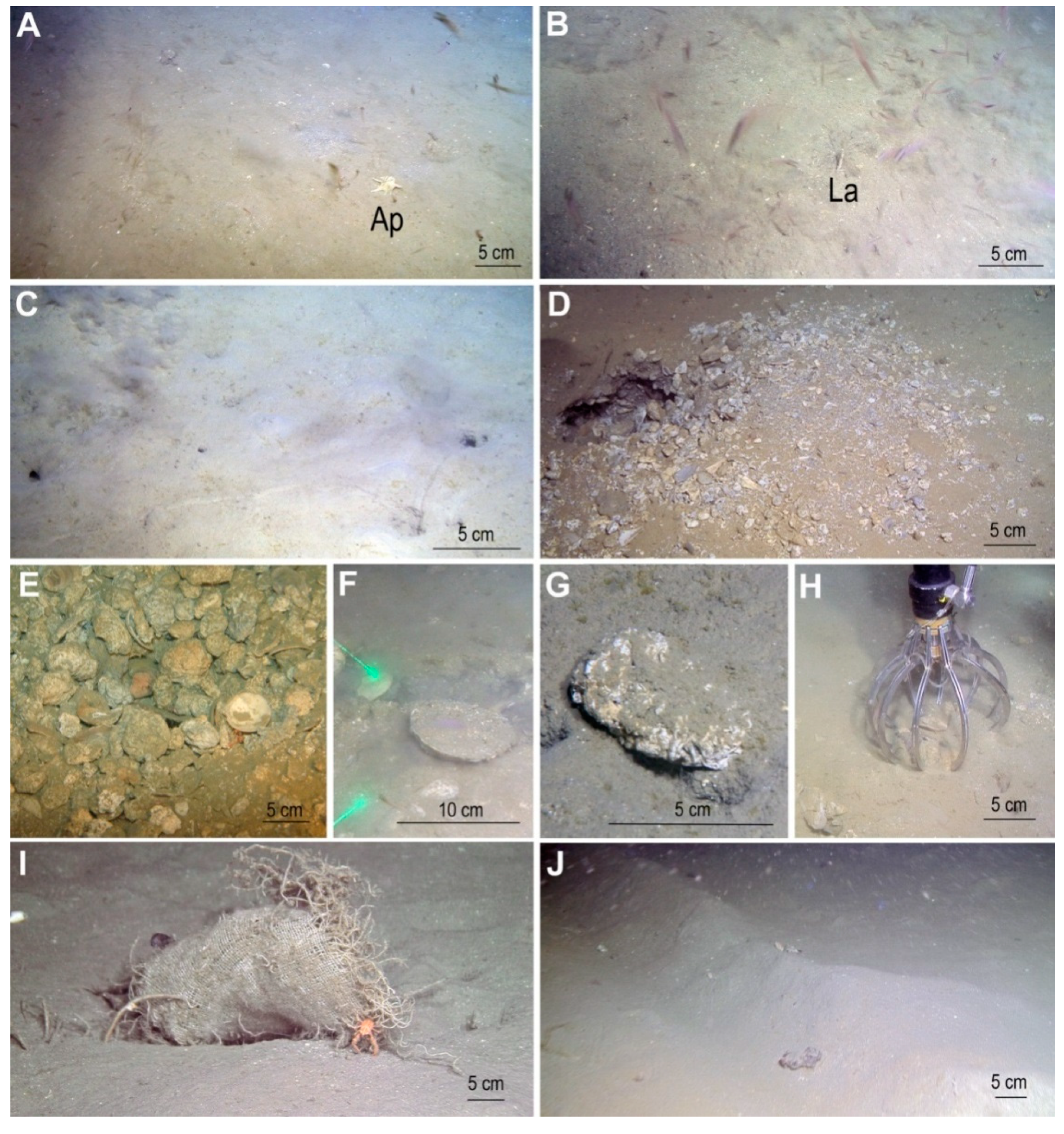 Geosciences 12 00111 g005