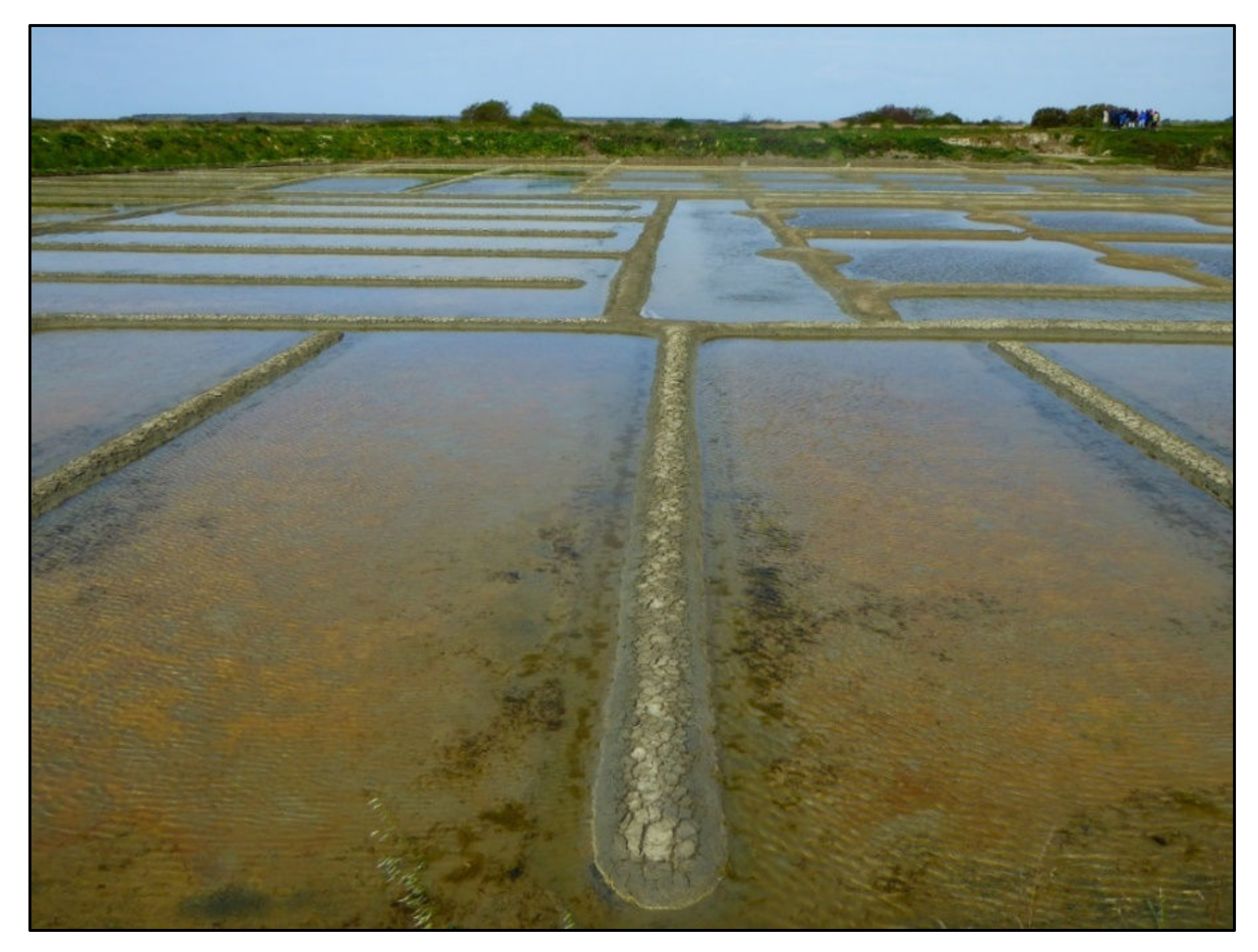 Geosciences 12 00141 g004