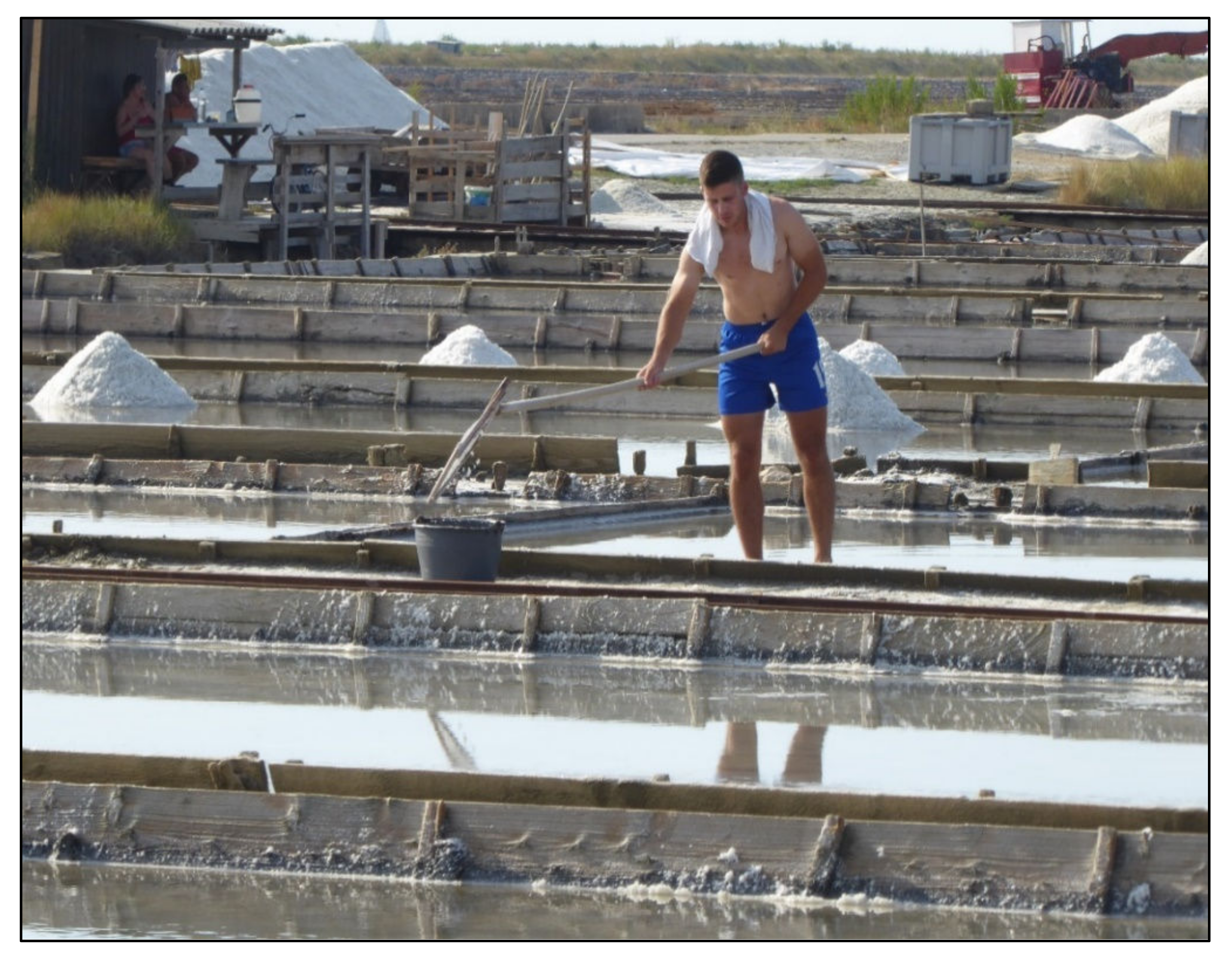 Geosciences 12 00141 g008