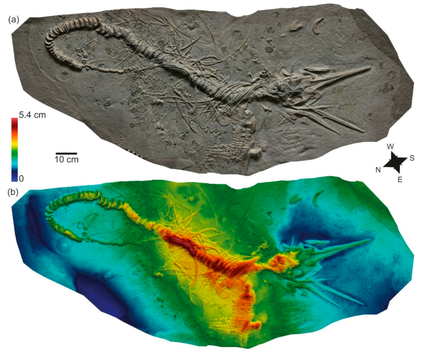Geosciences 12 00158 g004