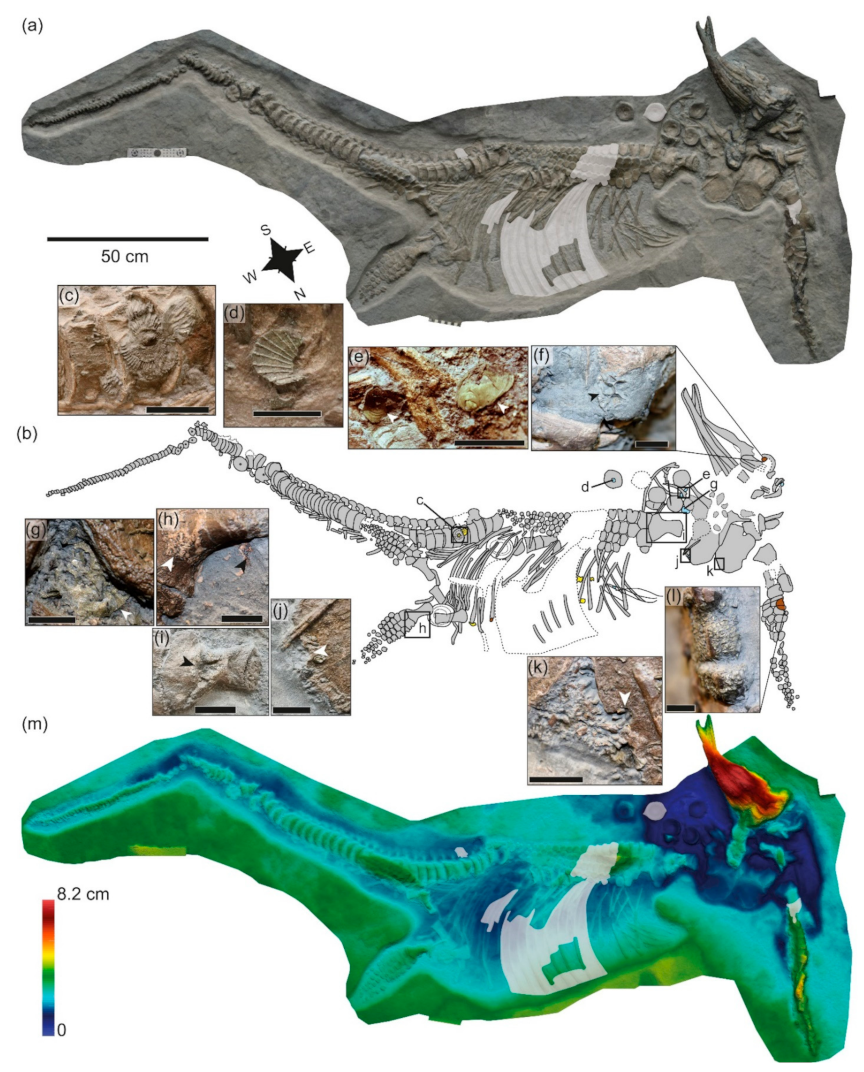 Geosciences 12 00158 g006