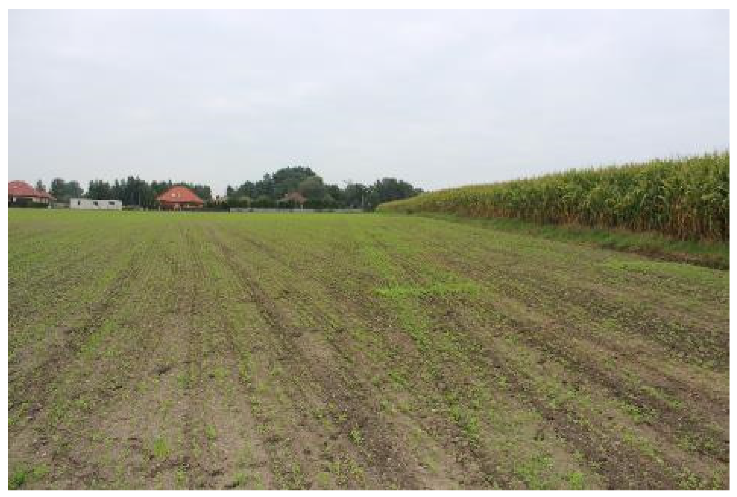 Geosciences 12 00159 g016