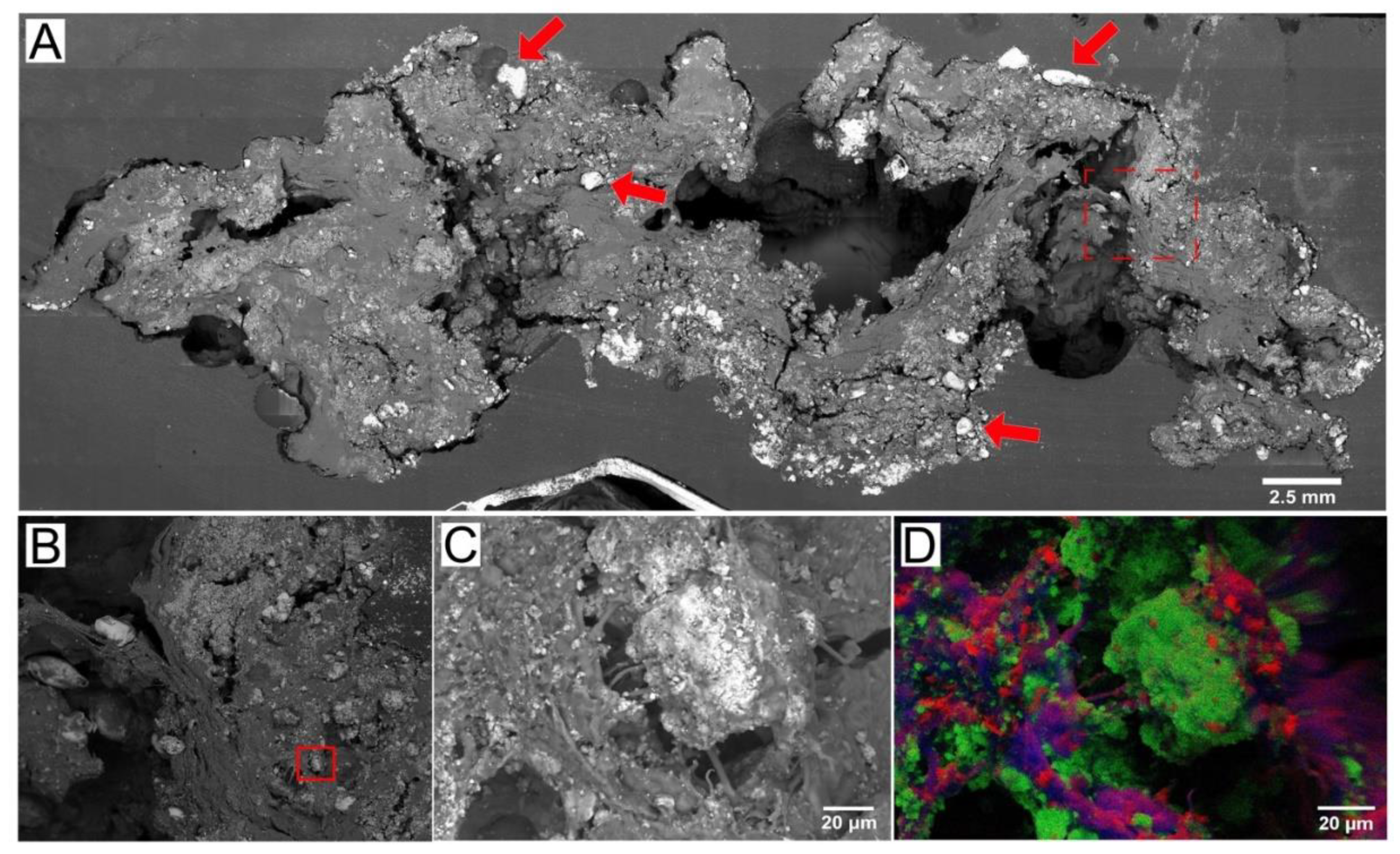 Geosciences 12 00185 g002