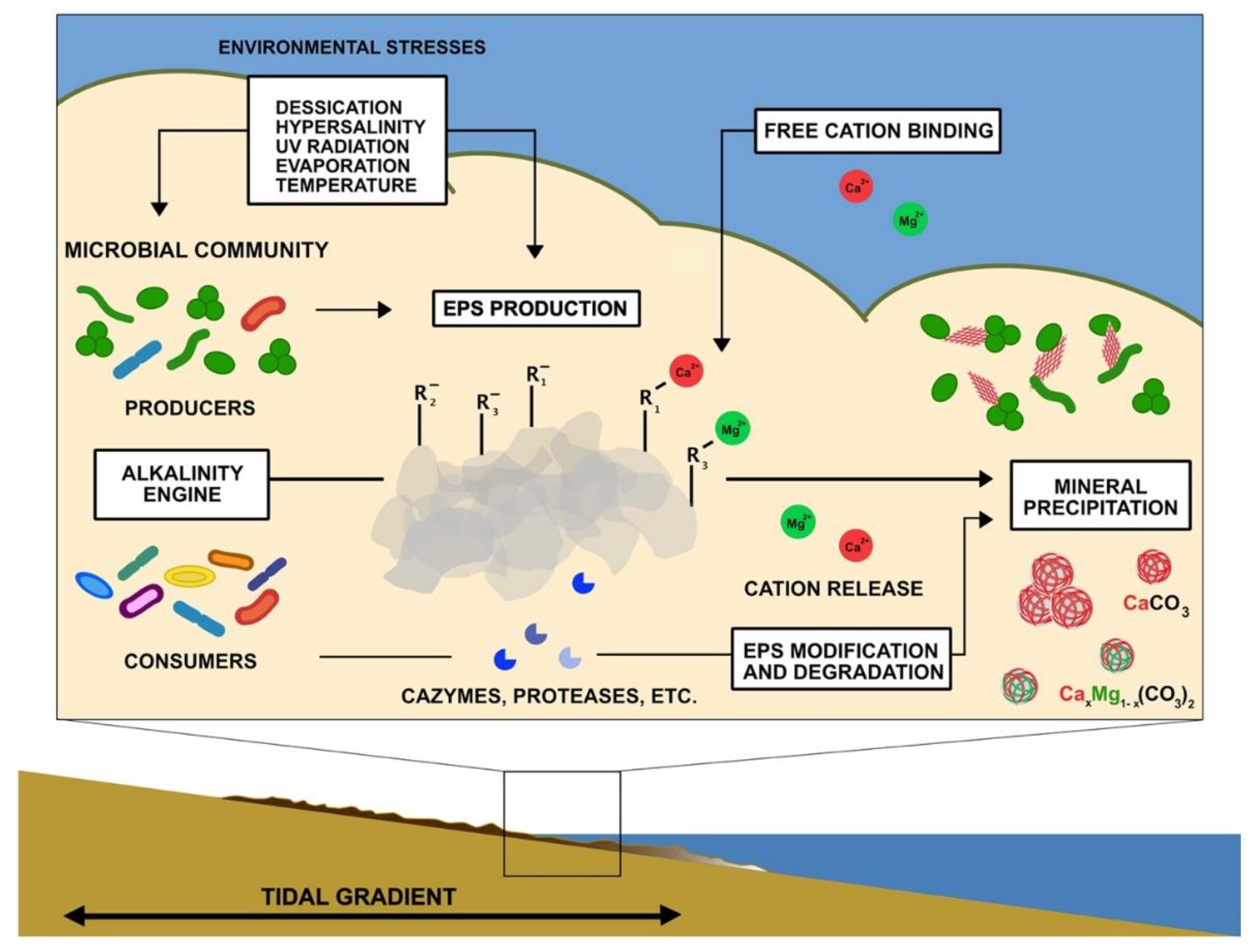 Geosciences 12 00185 g003